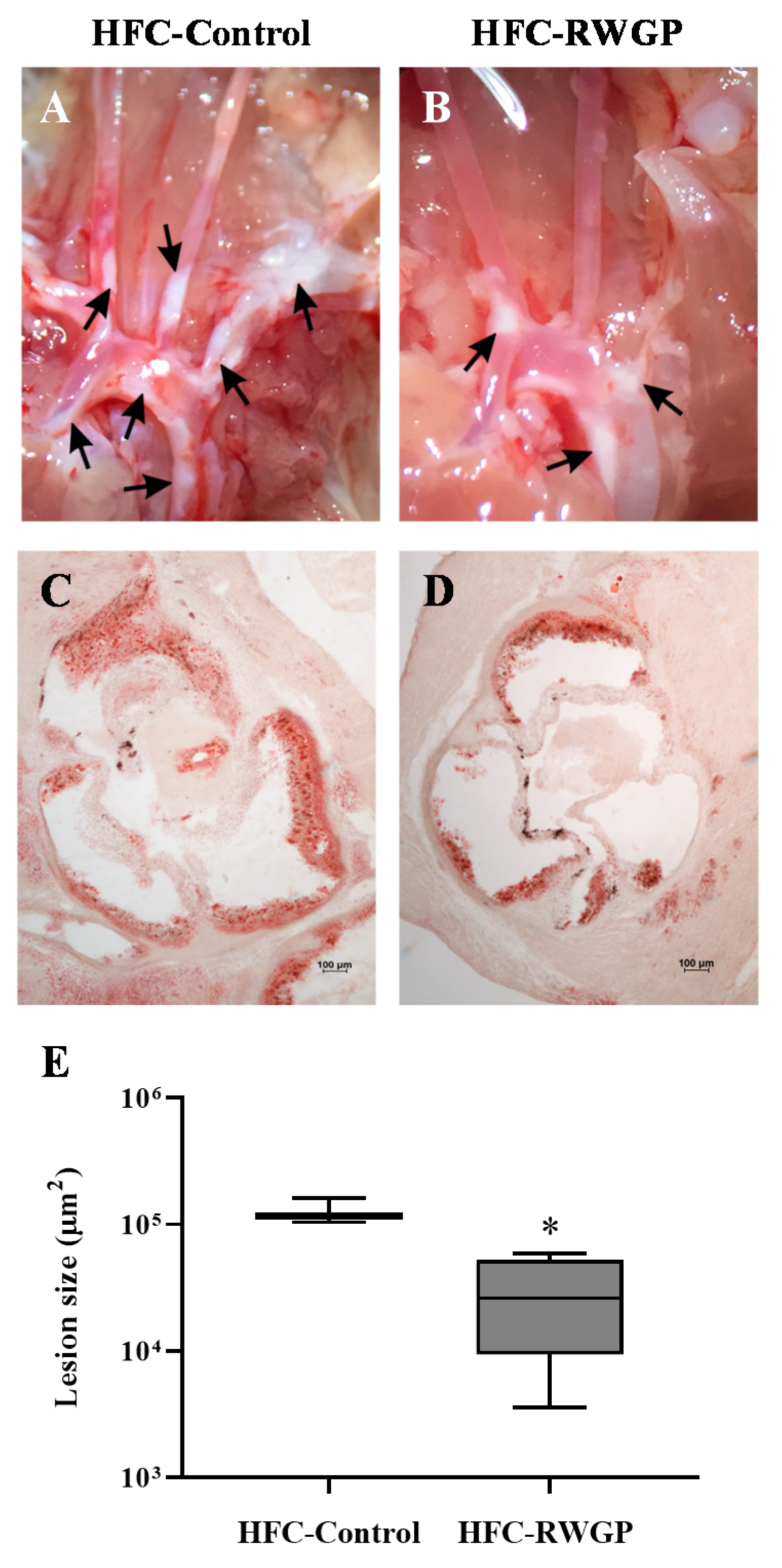 Nutrients 11 02135 g005 Nutrients 11 02135 g005