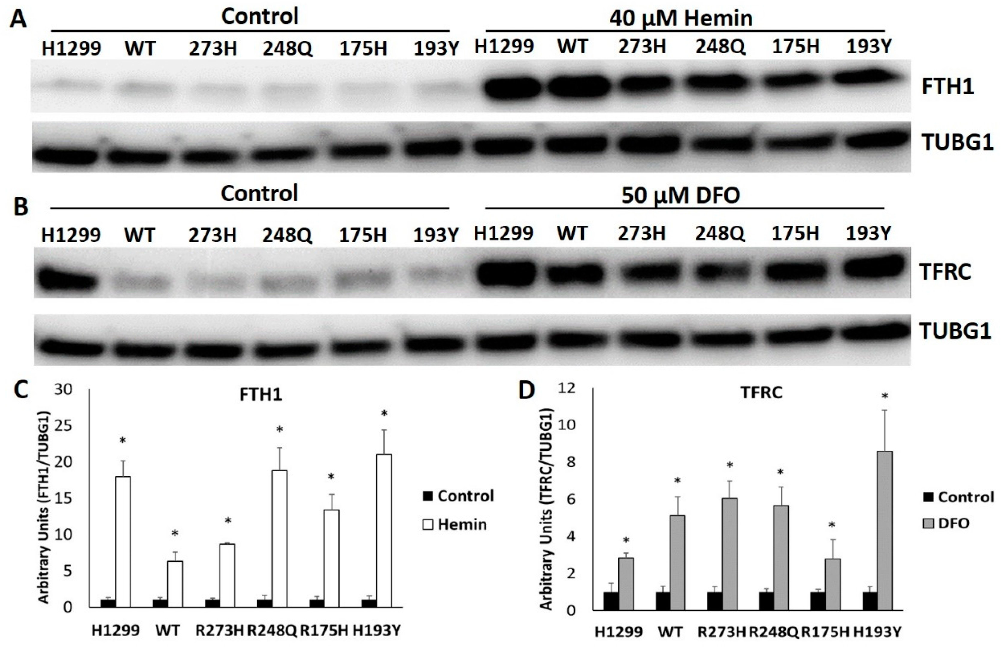 Nutrients 11 02144 g007 Nutrients 11 02144 g007
