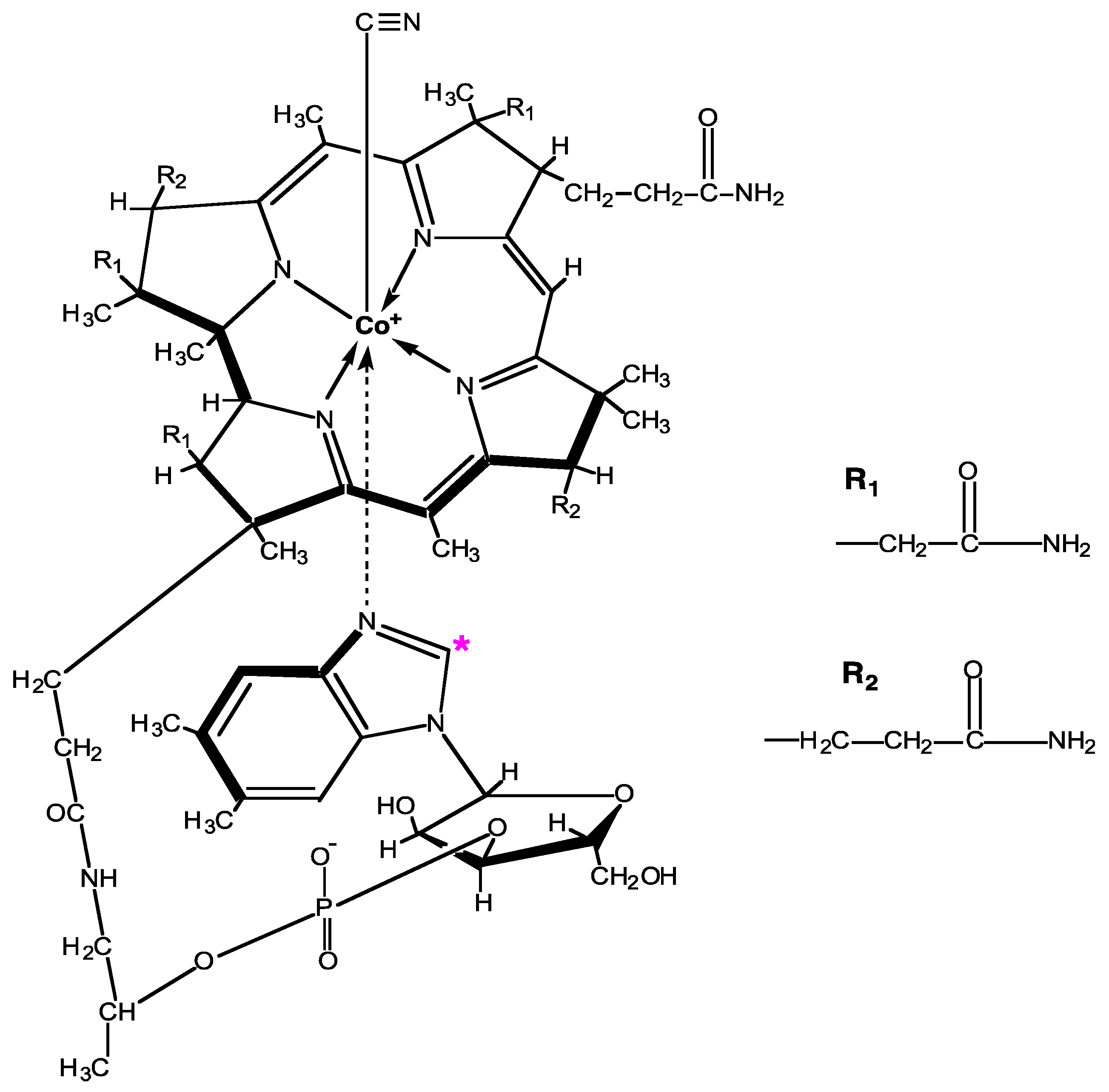 Nutrients | Free Full-Text | 14C-Cobalamin Absorption from Endogenously Labeled Chicken Eggs Assessed in Humans Using Accelerator Mass Spectrometry Nutrients | Free Full-Text | 14C-Cobalamin Absorption from Endogenously Labeled Chicken Eggs Assessed in Humans Using Accelerator Mass Spectrometry