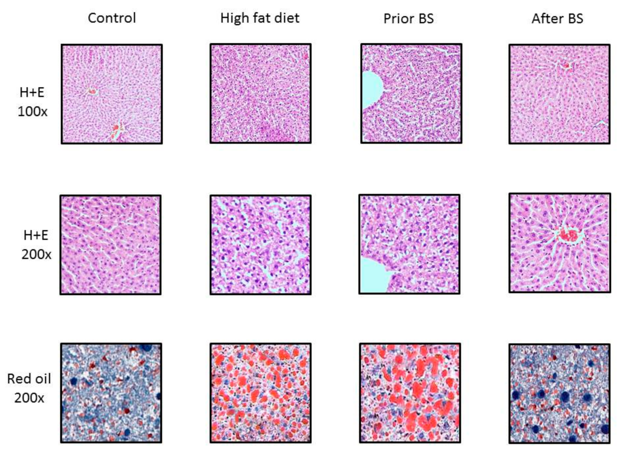 Nutrients 11 02174 g005 Nutrients 11 02174 g005