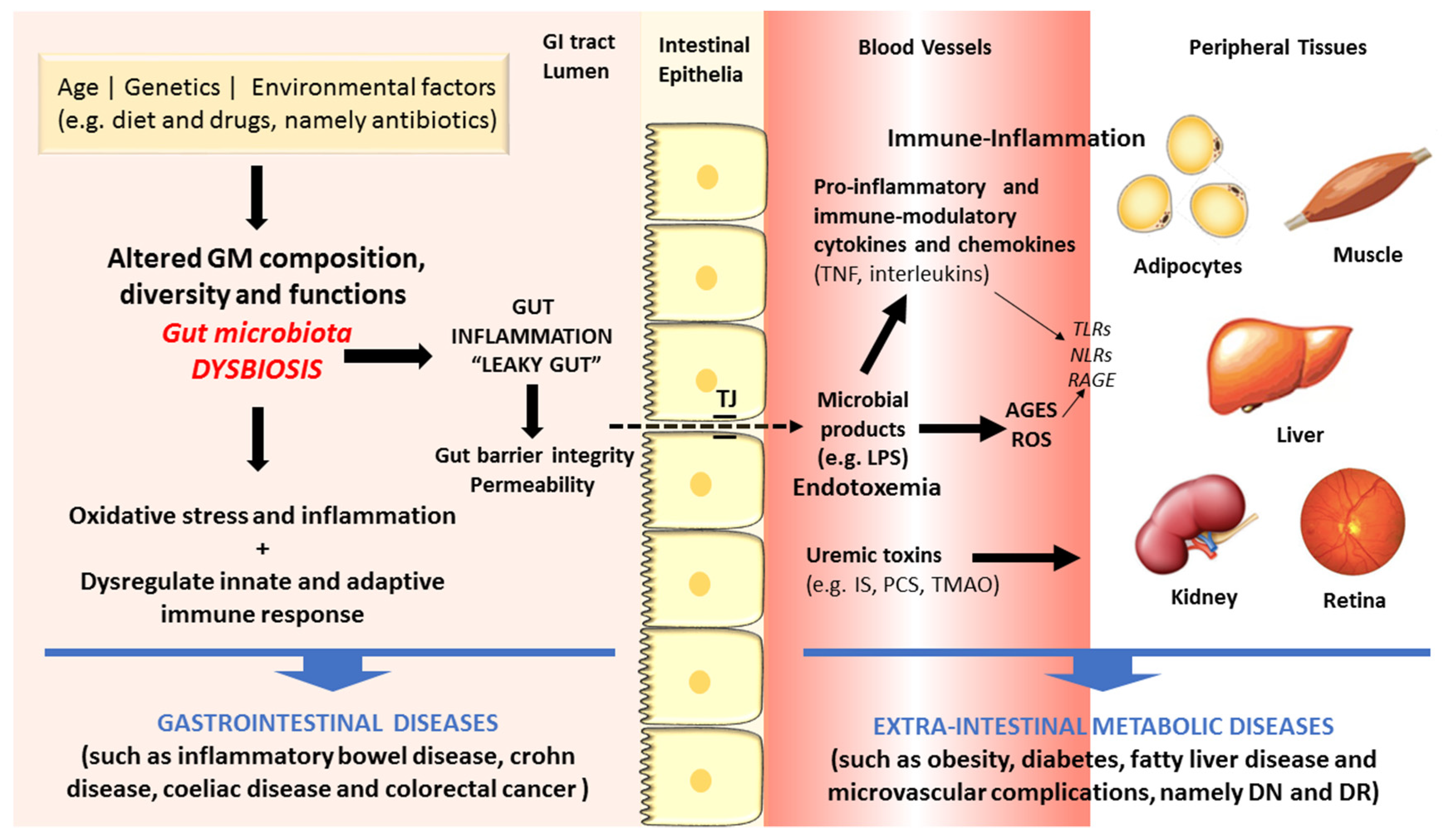 Dieta microbiota pdf