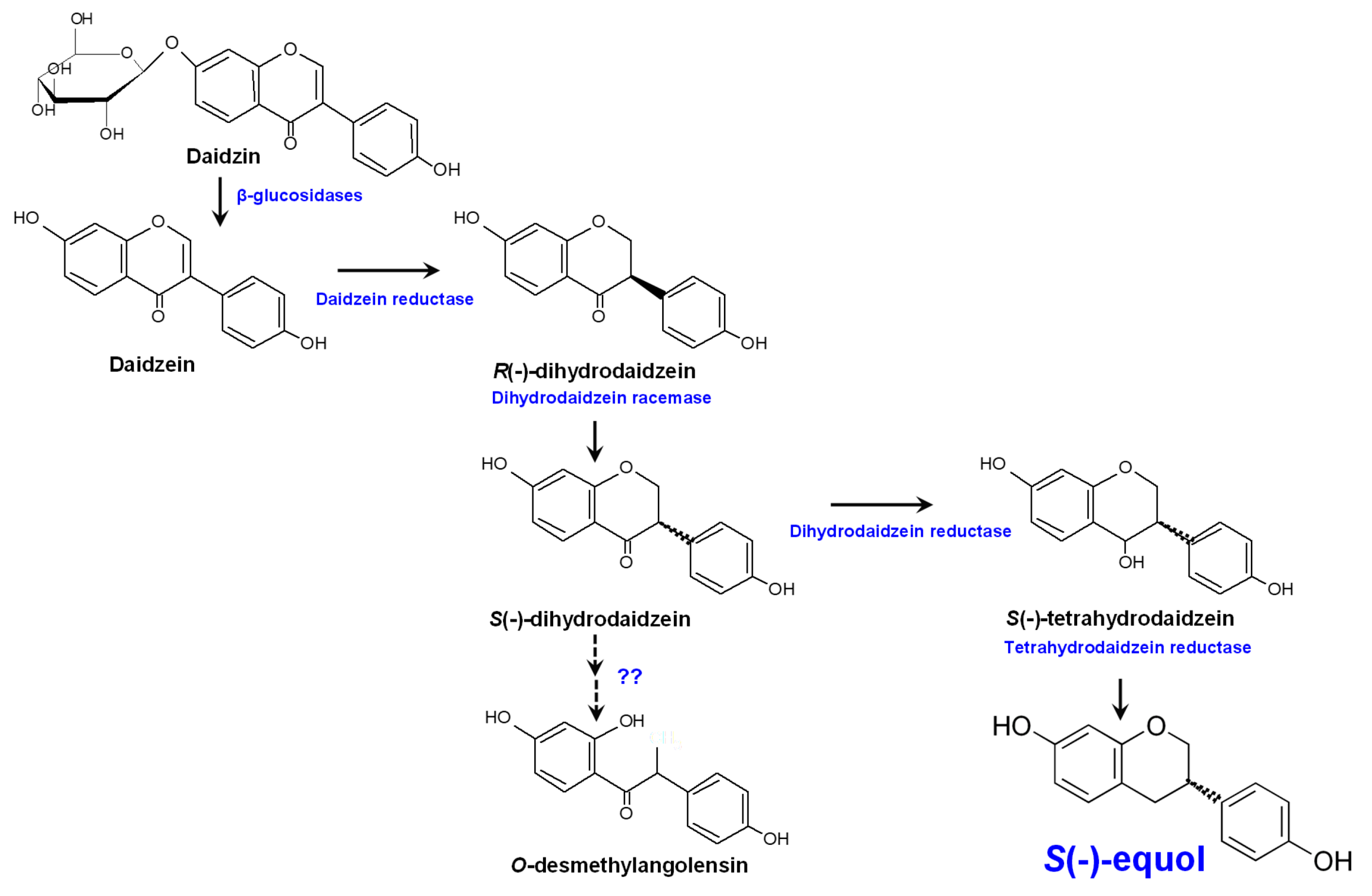 Nutrients 11 02231 g001 Nutrients 11 02231 g001