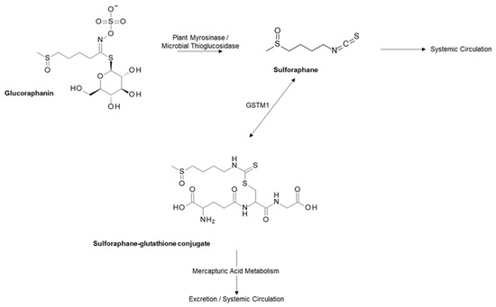 prostatitis urethritishez