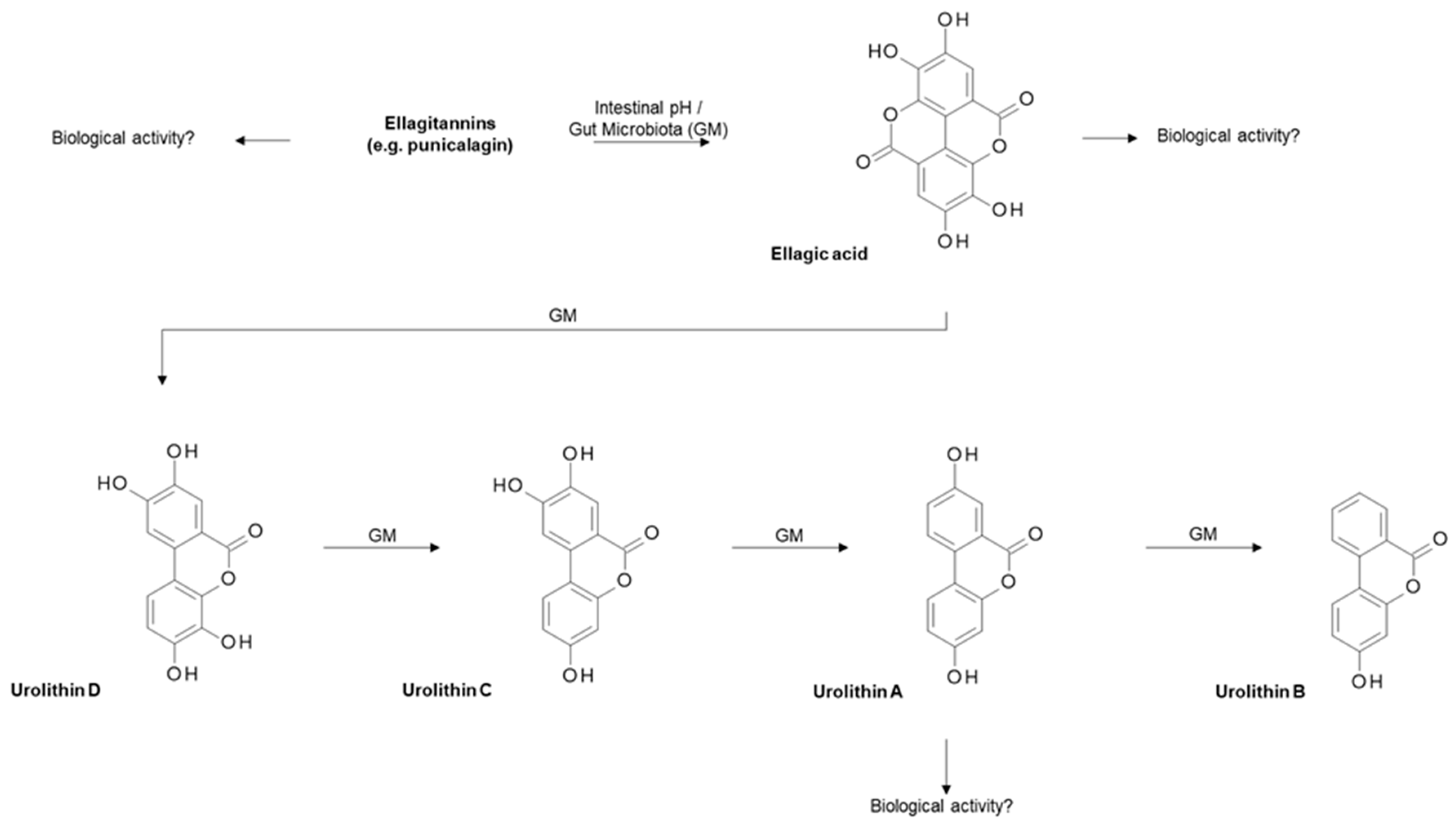 Nutrients 11 02245 g009