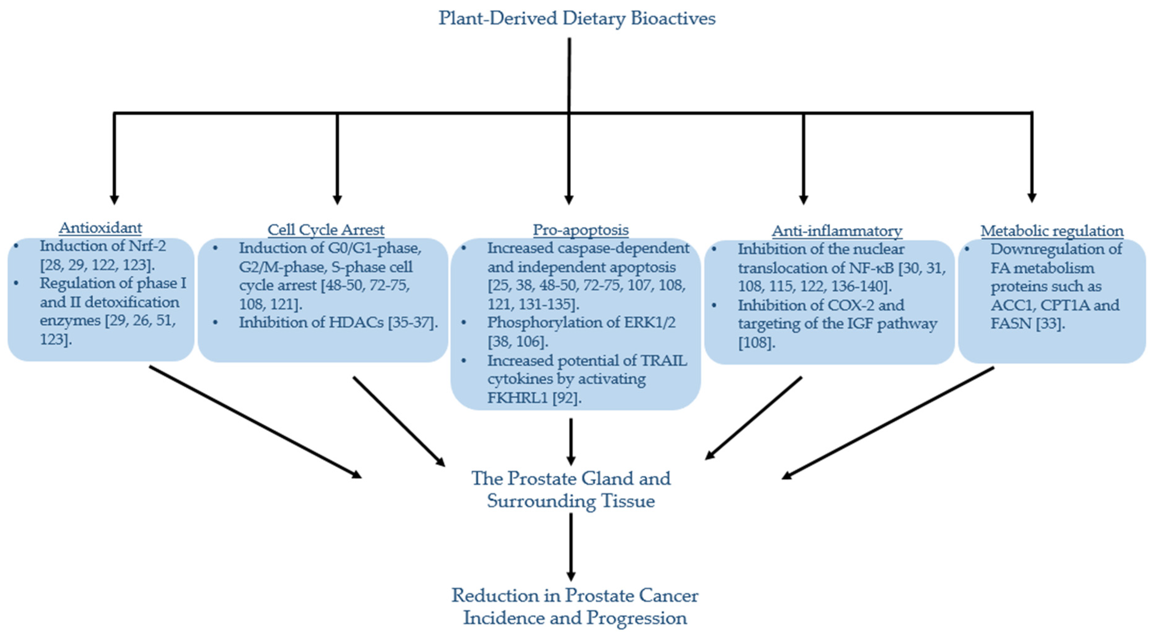 polutions és prostatitis