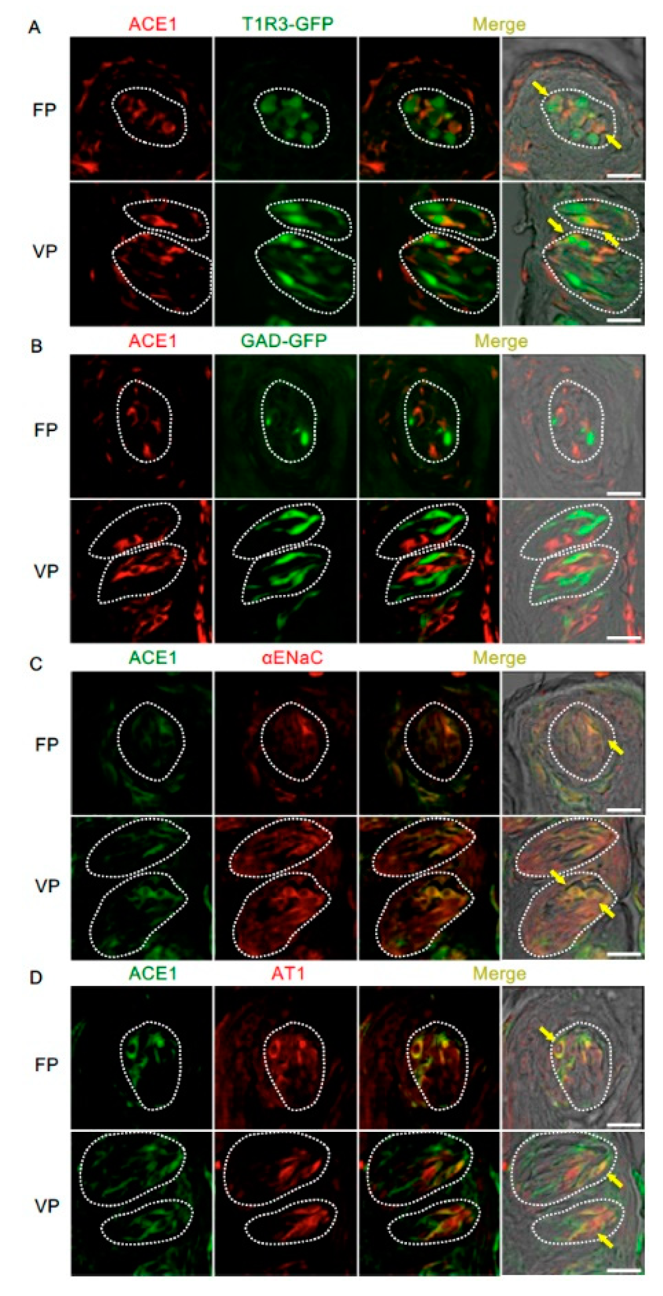 Nutrients 11 02251 g003 Nutrients 11 02251 g003