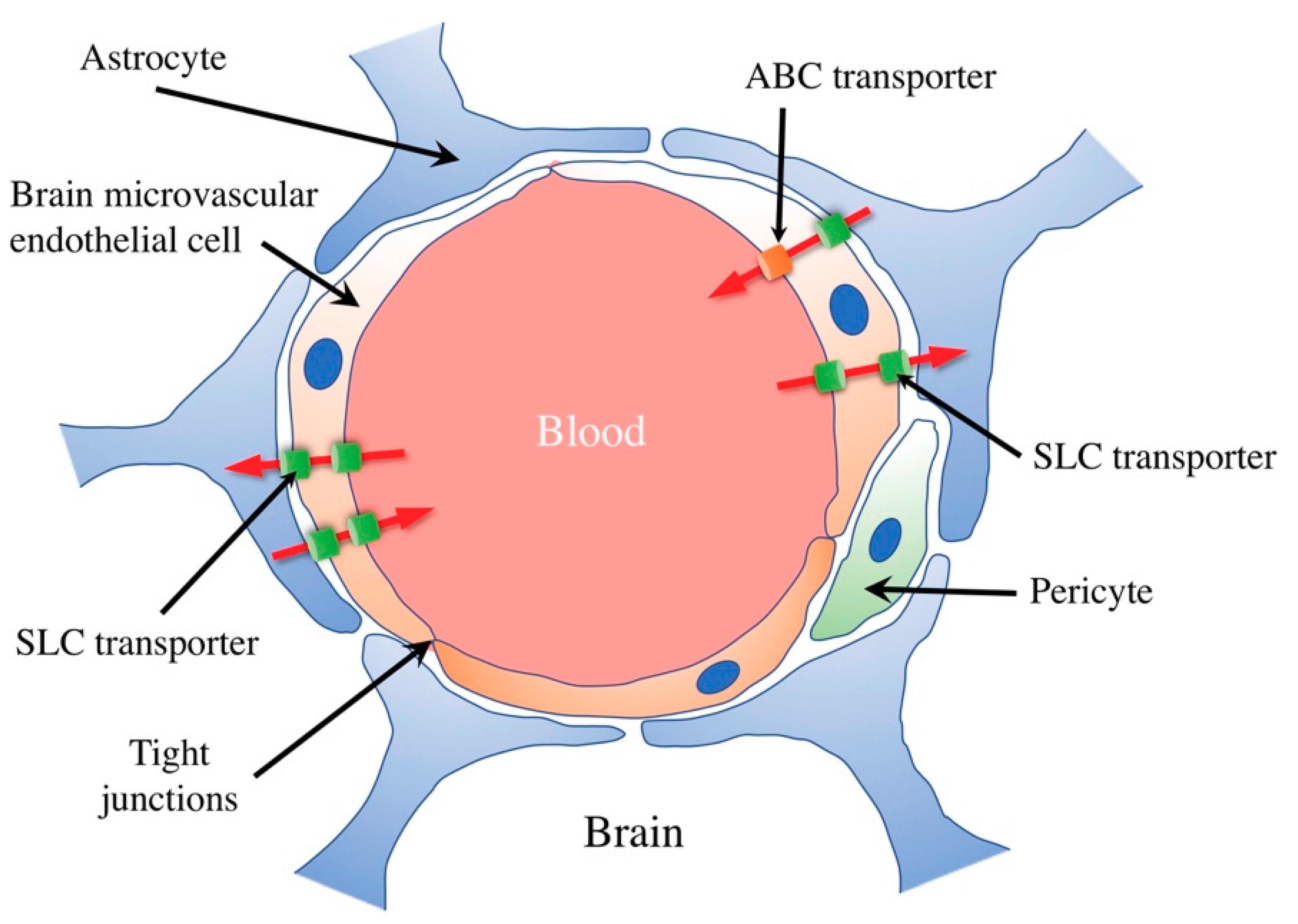 Nutrients 11 02265 g001