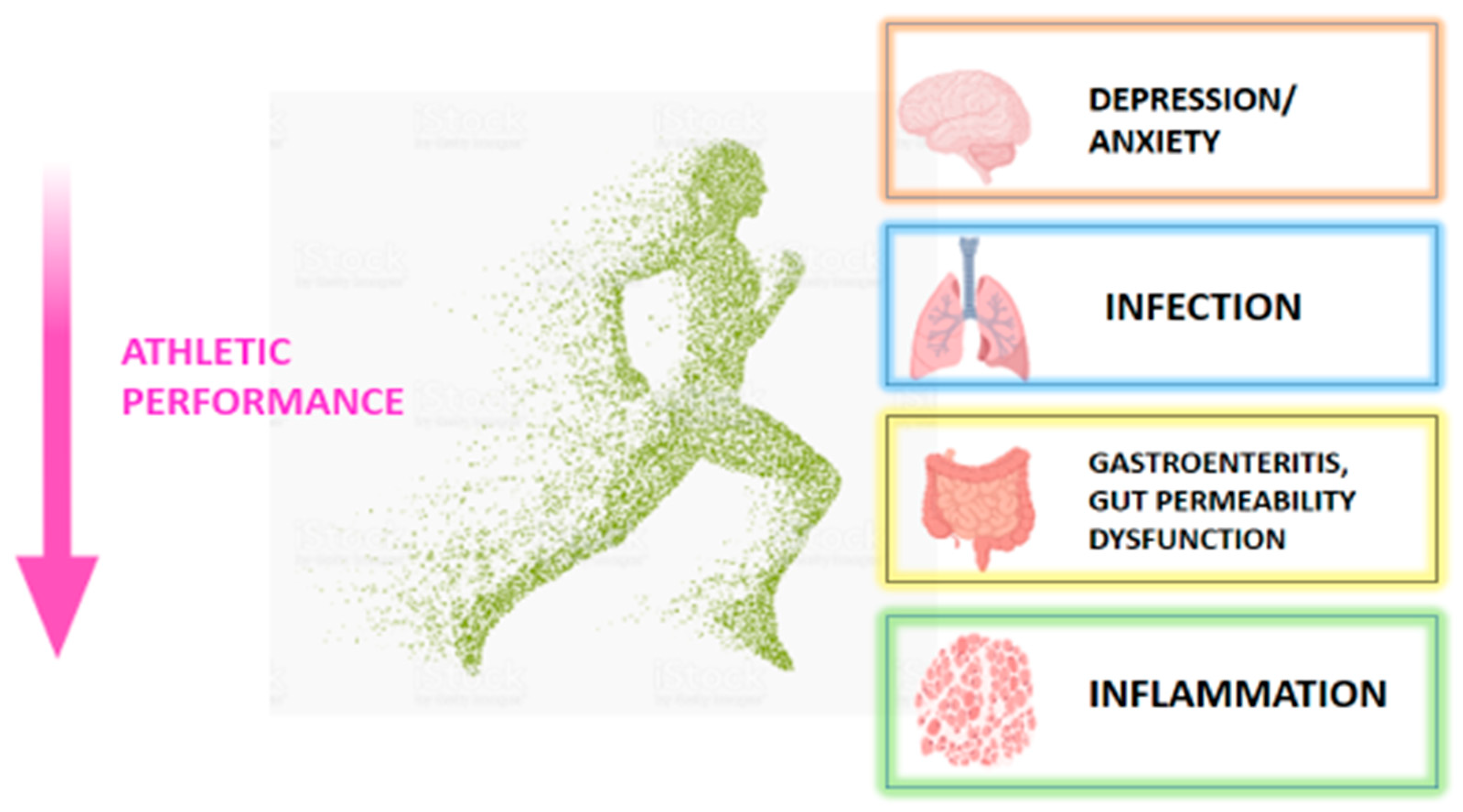 Nutrients 11 02270 g001 Nutrients 11 02270 g001