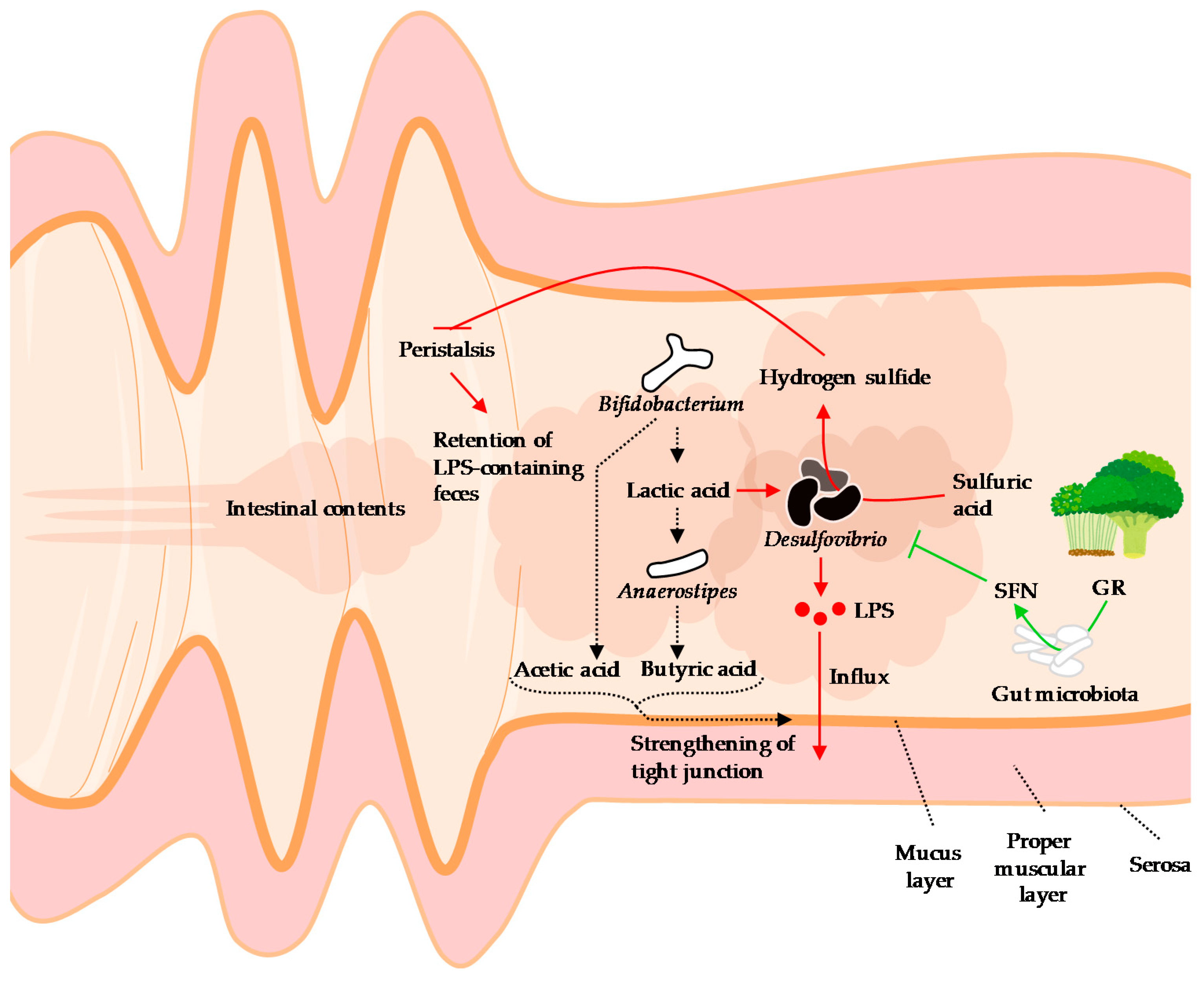 Nutrients 11 02277 g002