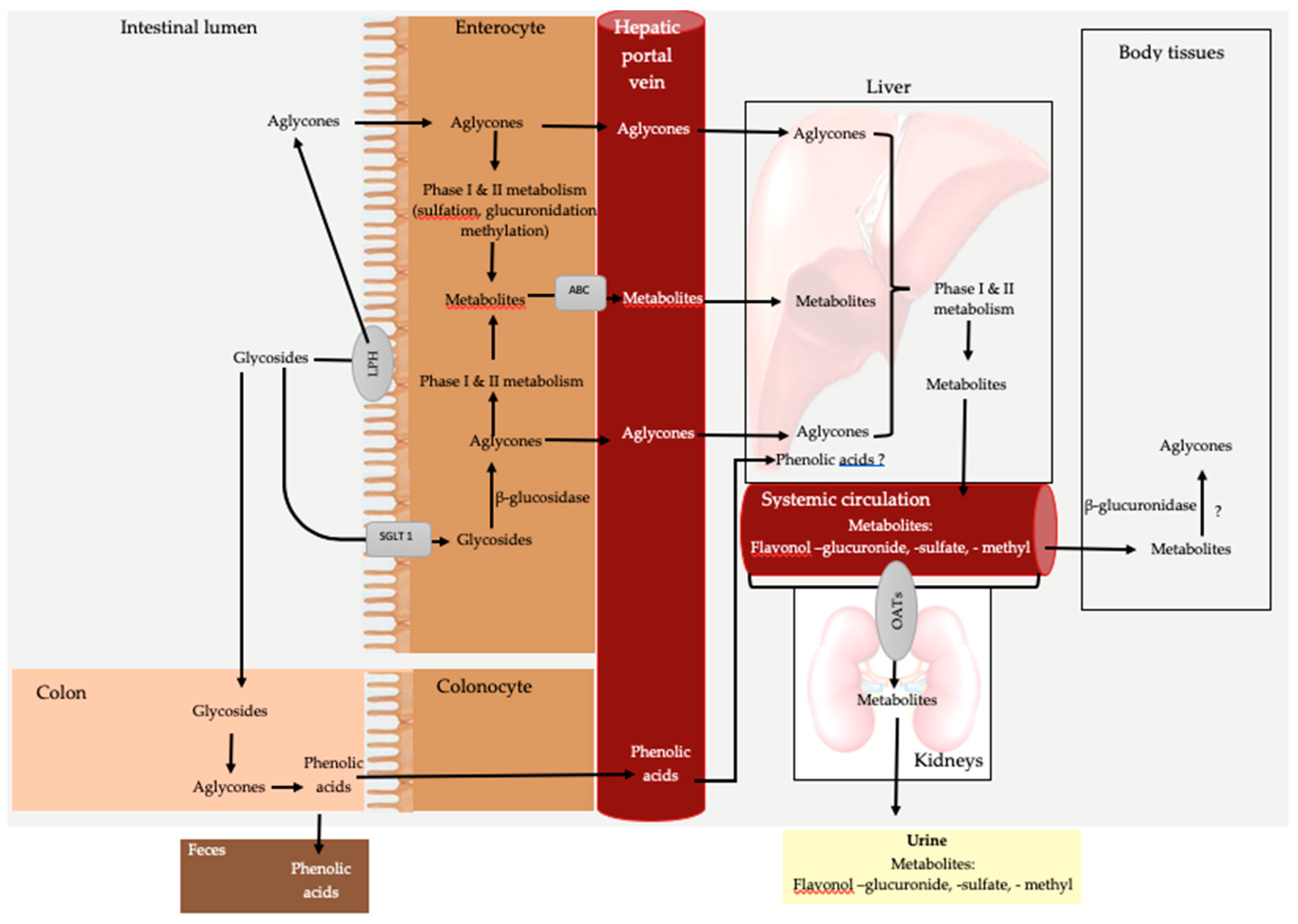 Nutrients 11 02288 g002