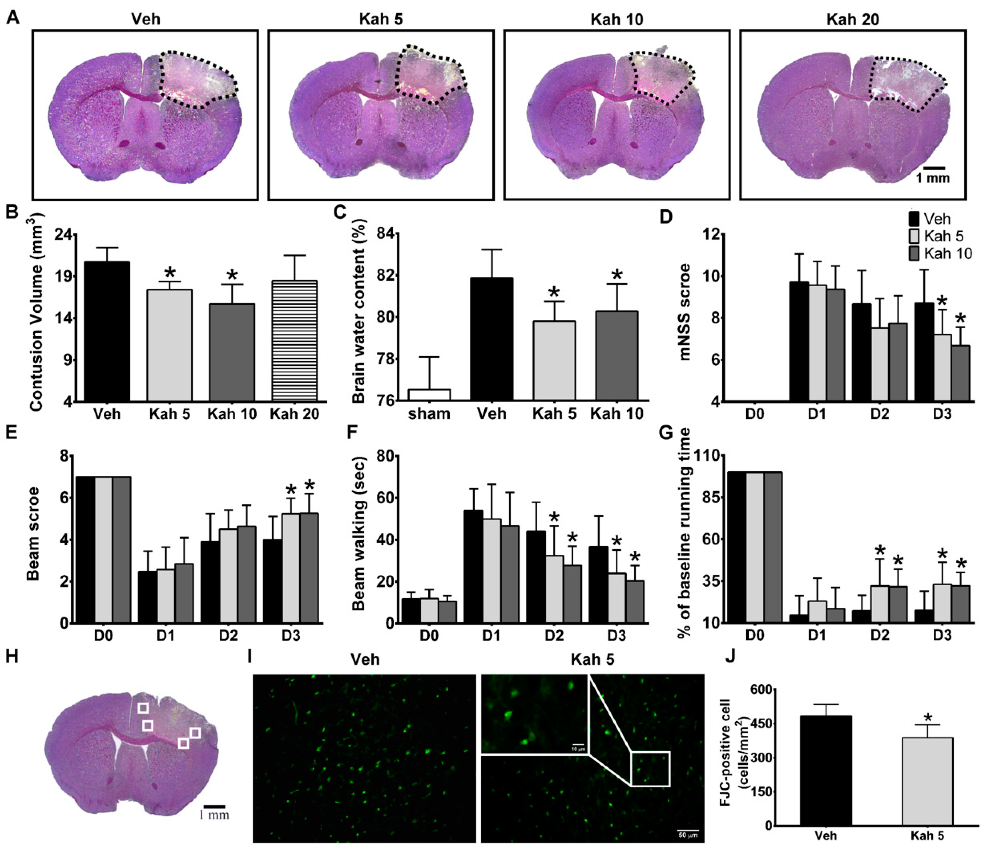 Nutrients 11 02301 g001 Nutrients 11 02301 g001