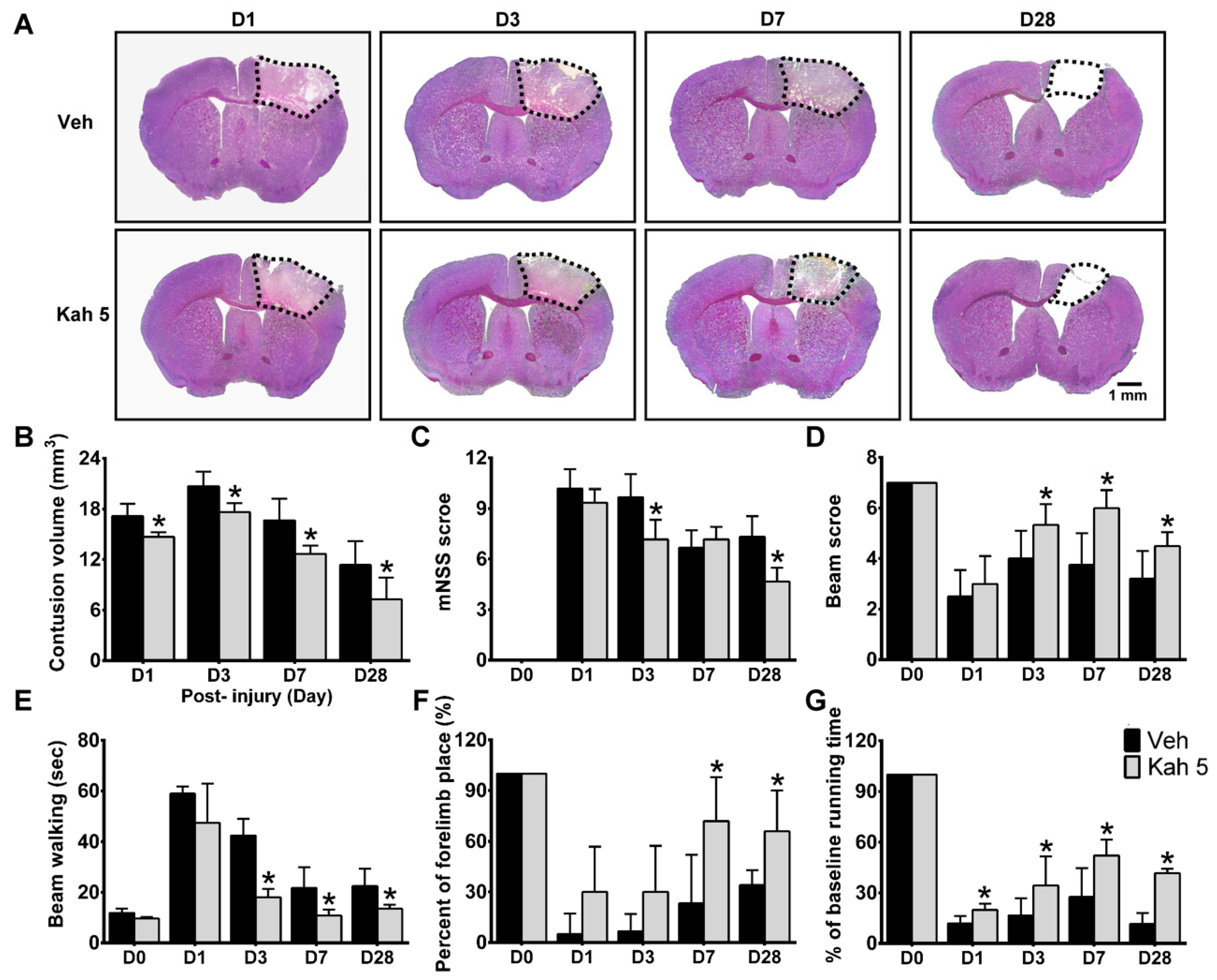 Nutrients 11 02301 g002 Nutrients 11 02301 g002