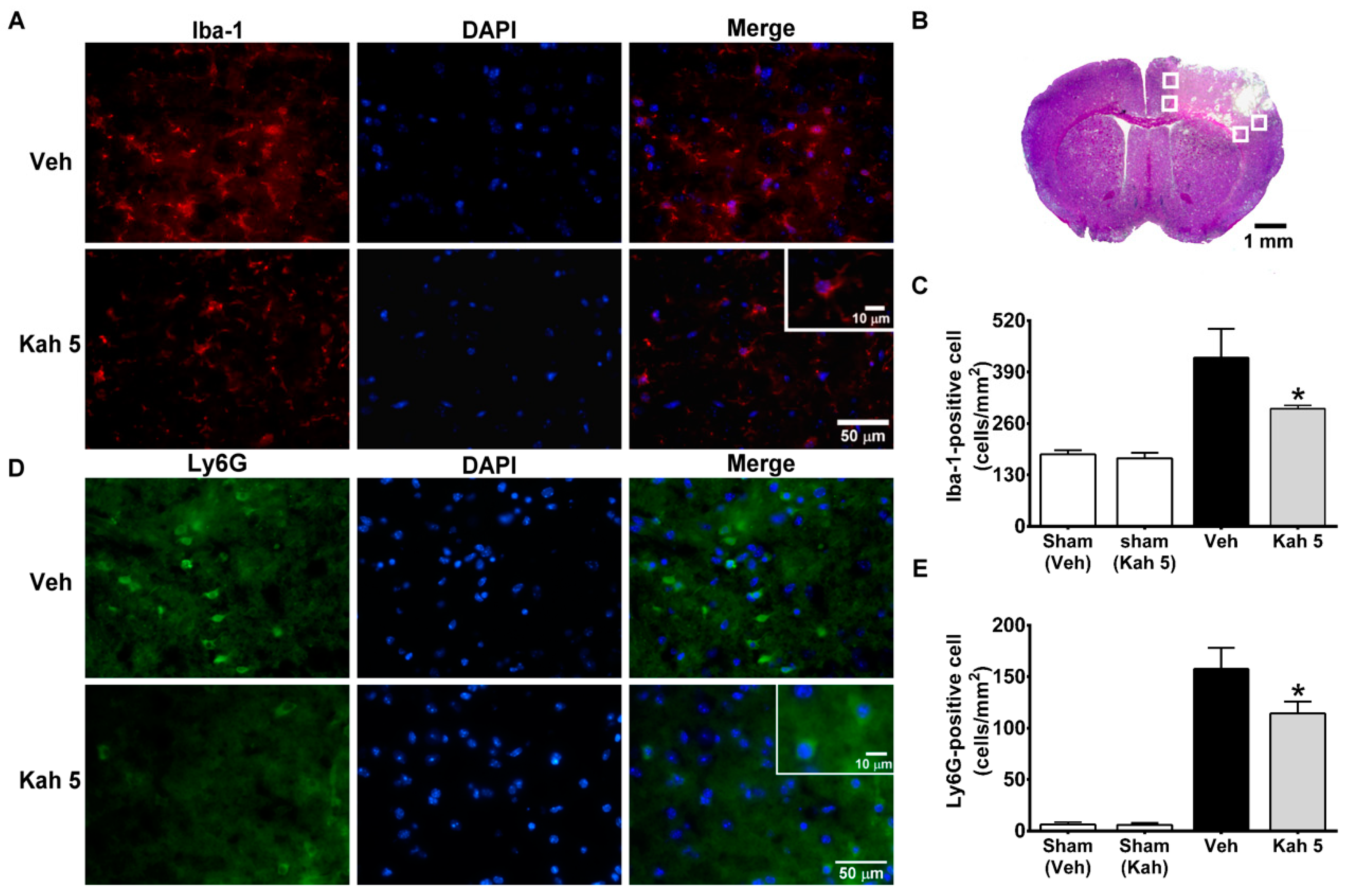 Nutrients 11 02301 g004 Nutrients 11 02301 g004