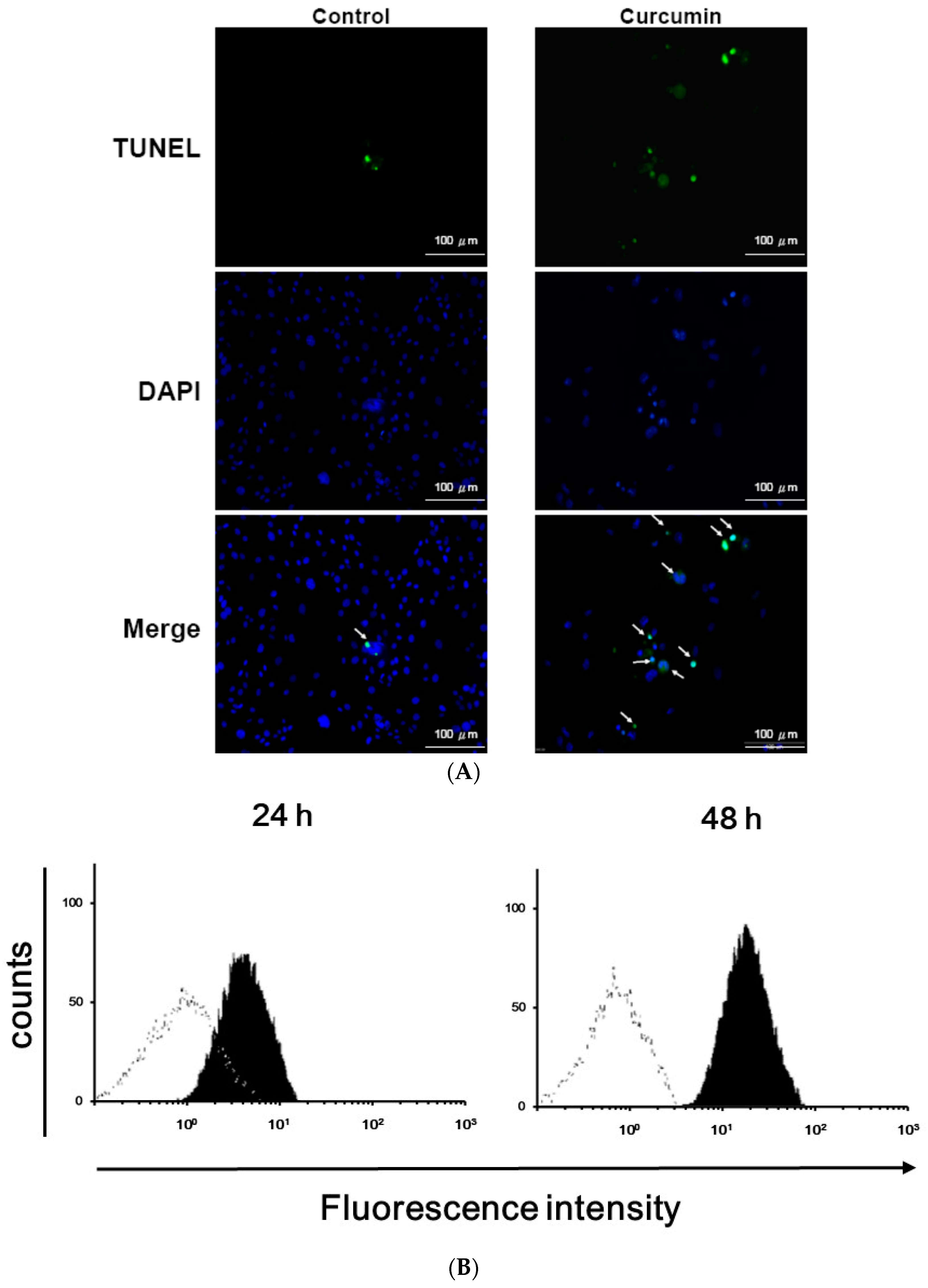 Nutrients 11 02307 g002a Nutrients 11 02307 g002a