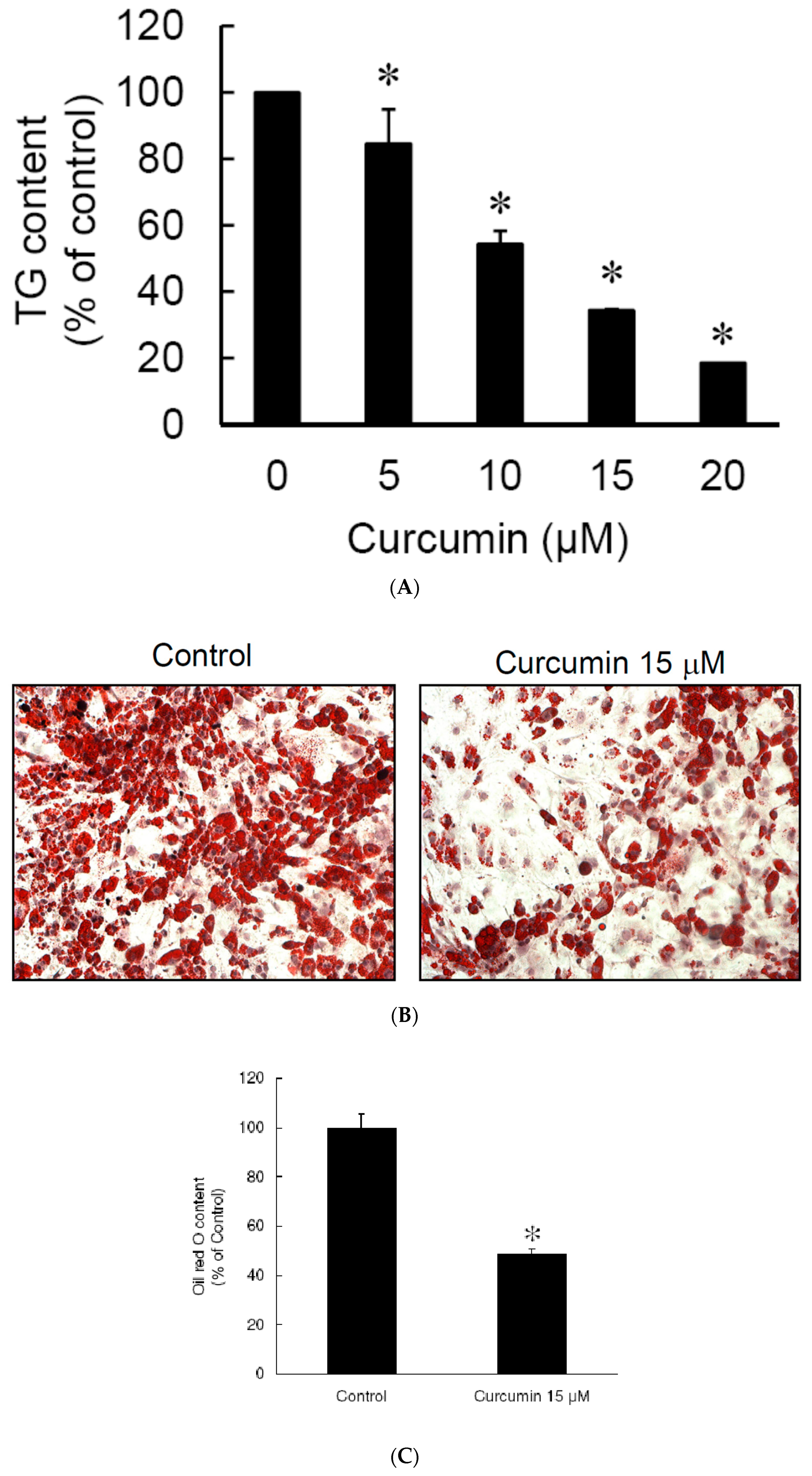 Nutrients 11 02307 g003 Nutrients 11 02307 g003