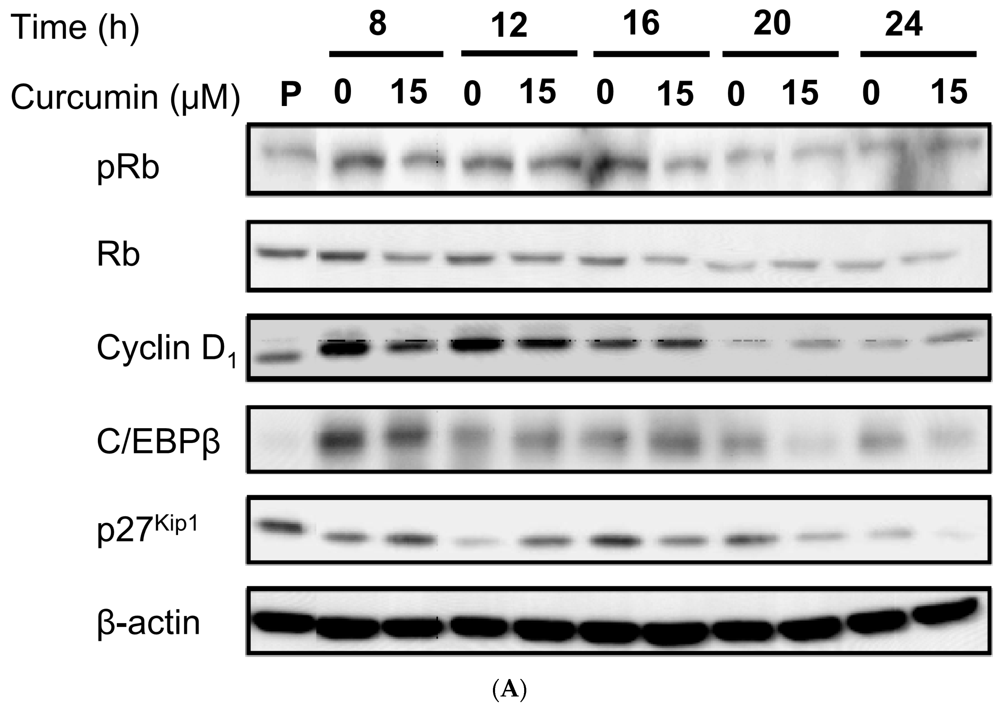 Nutrients 11 02307 g005a Nutrients 11 02307 g005a