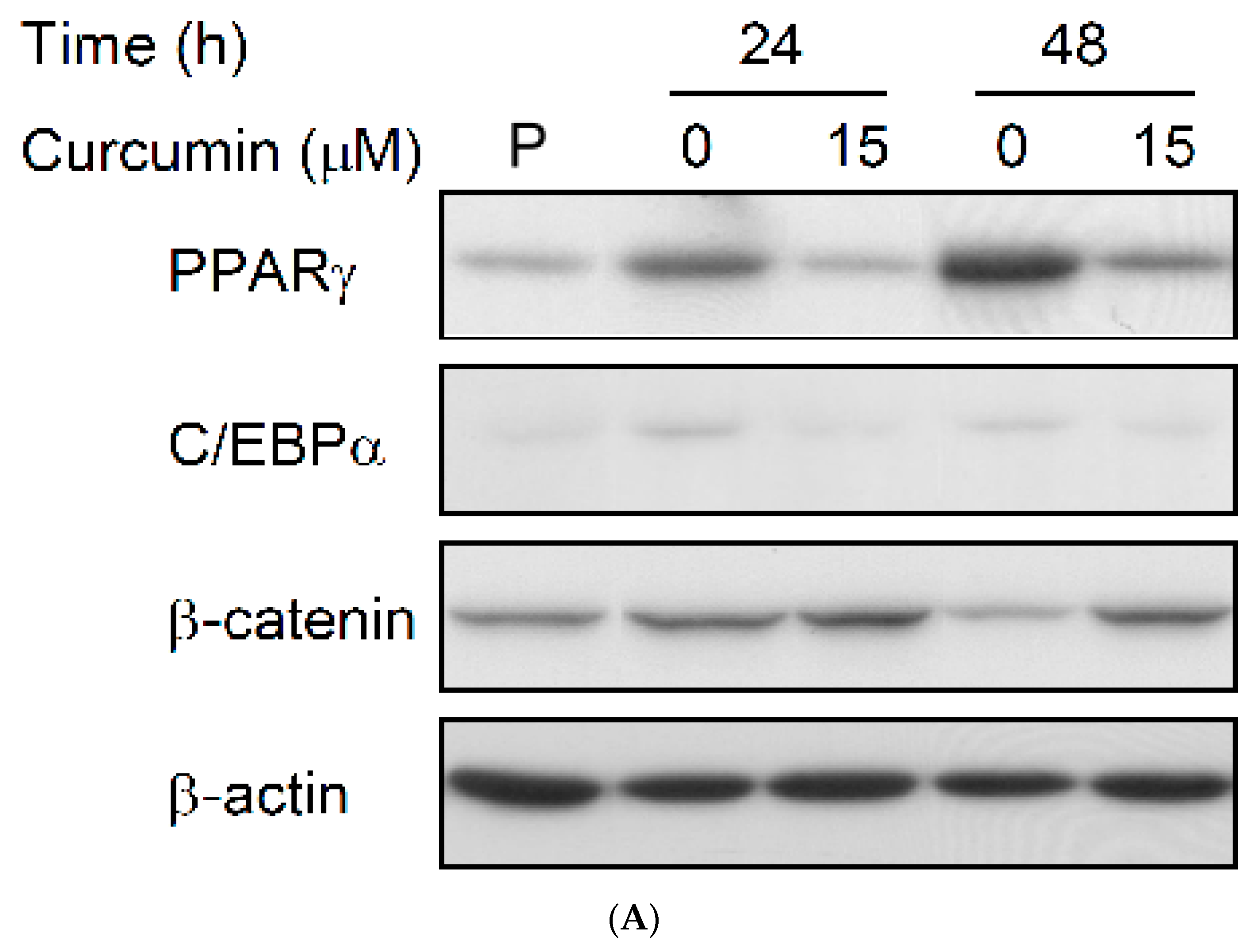 Nutrients 11 02307 g006a Nutrients 11 02307 g006a