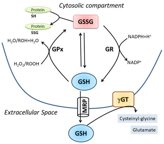 Nutrients 11 02318 g001 550