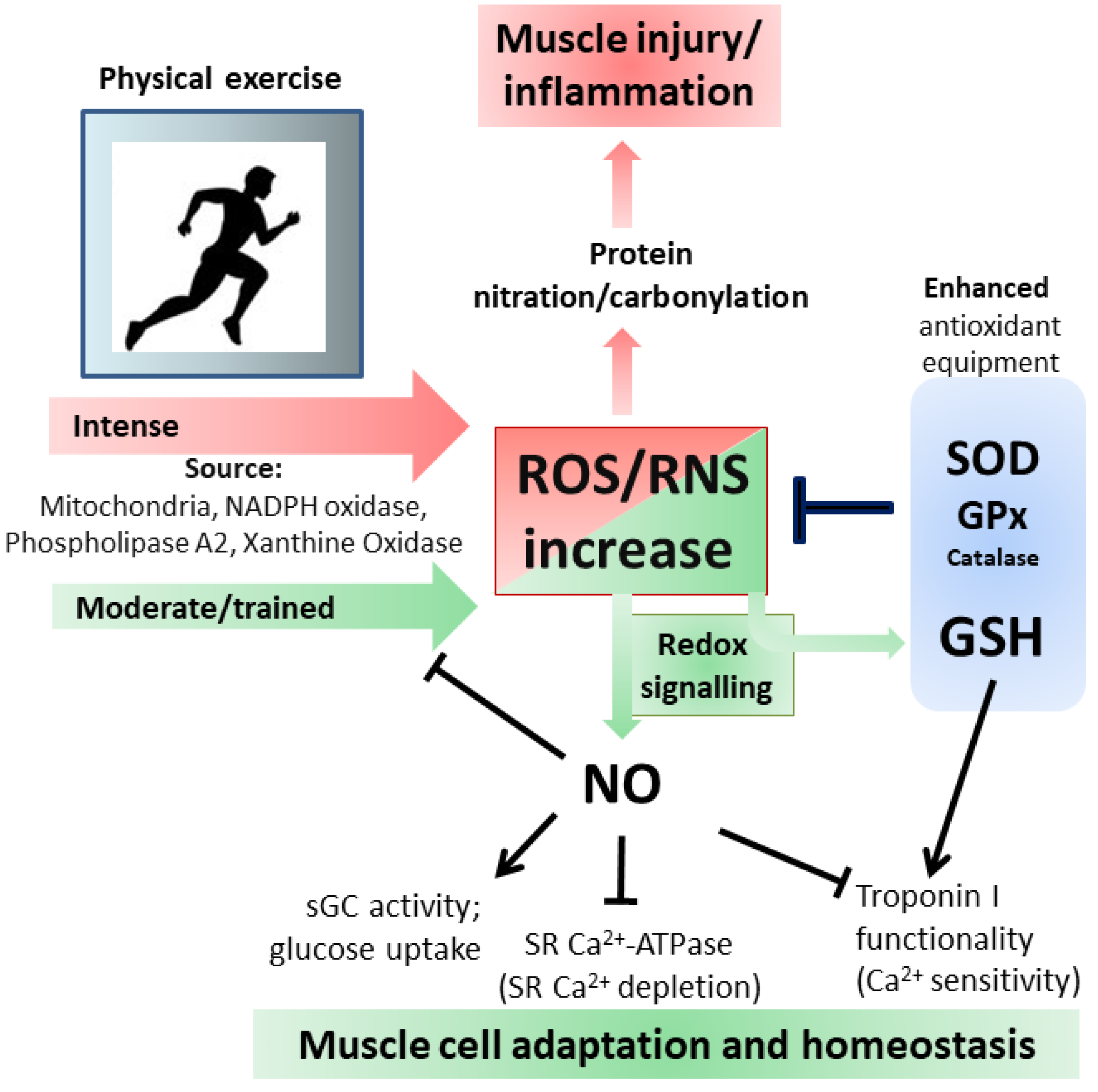 Nutrients 11 02318 g003