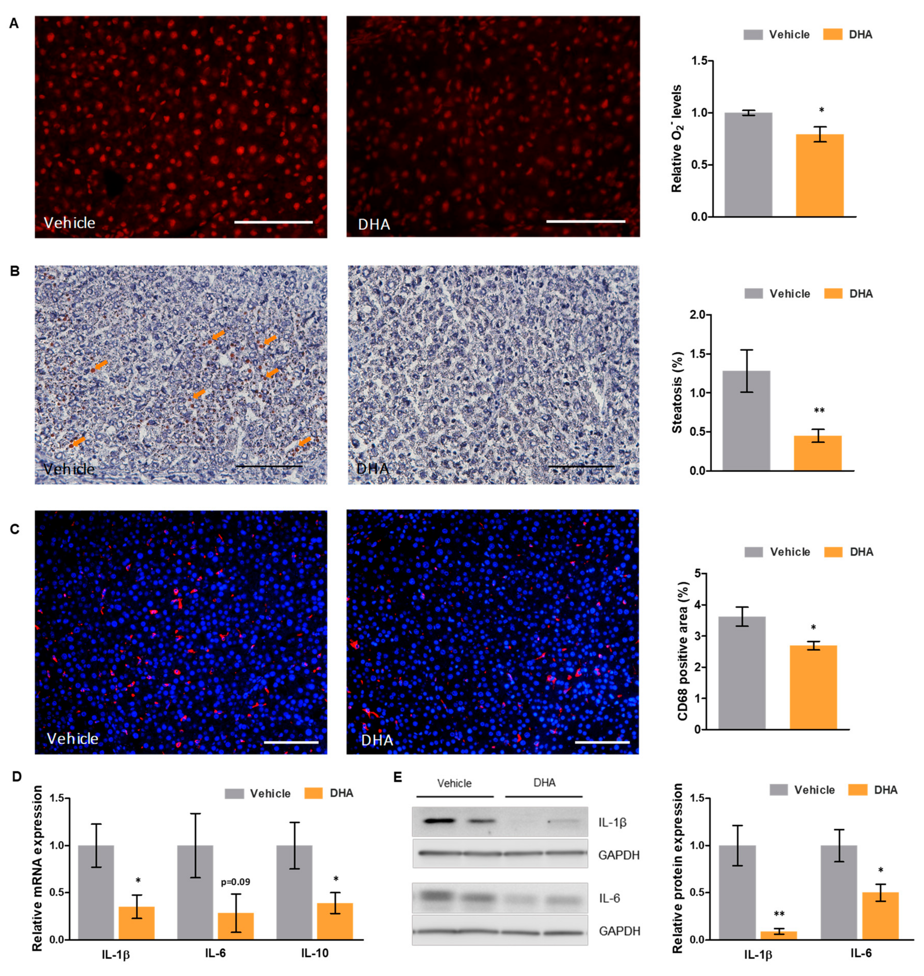 Nutrients 11 02358 g001 Nutrients 11 02358 g001