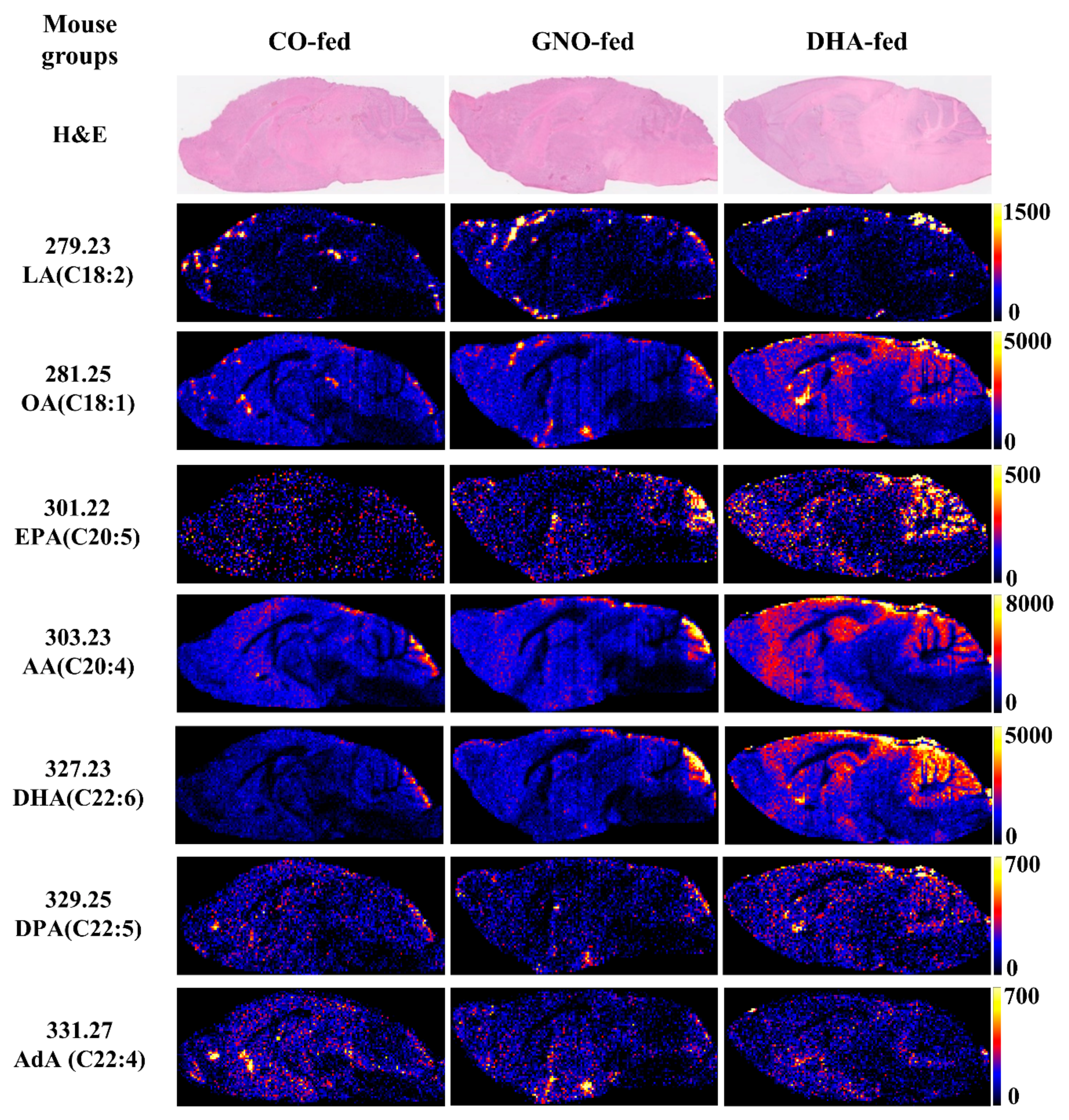 Nutrients 11 02371 g002
