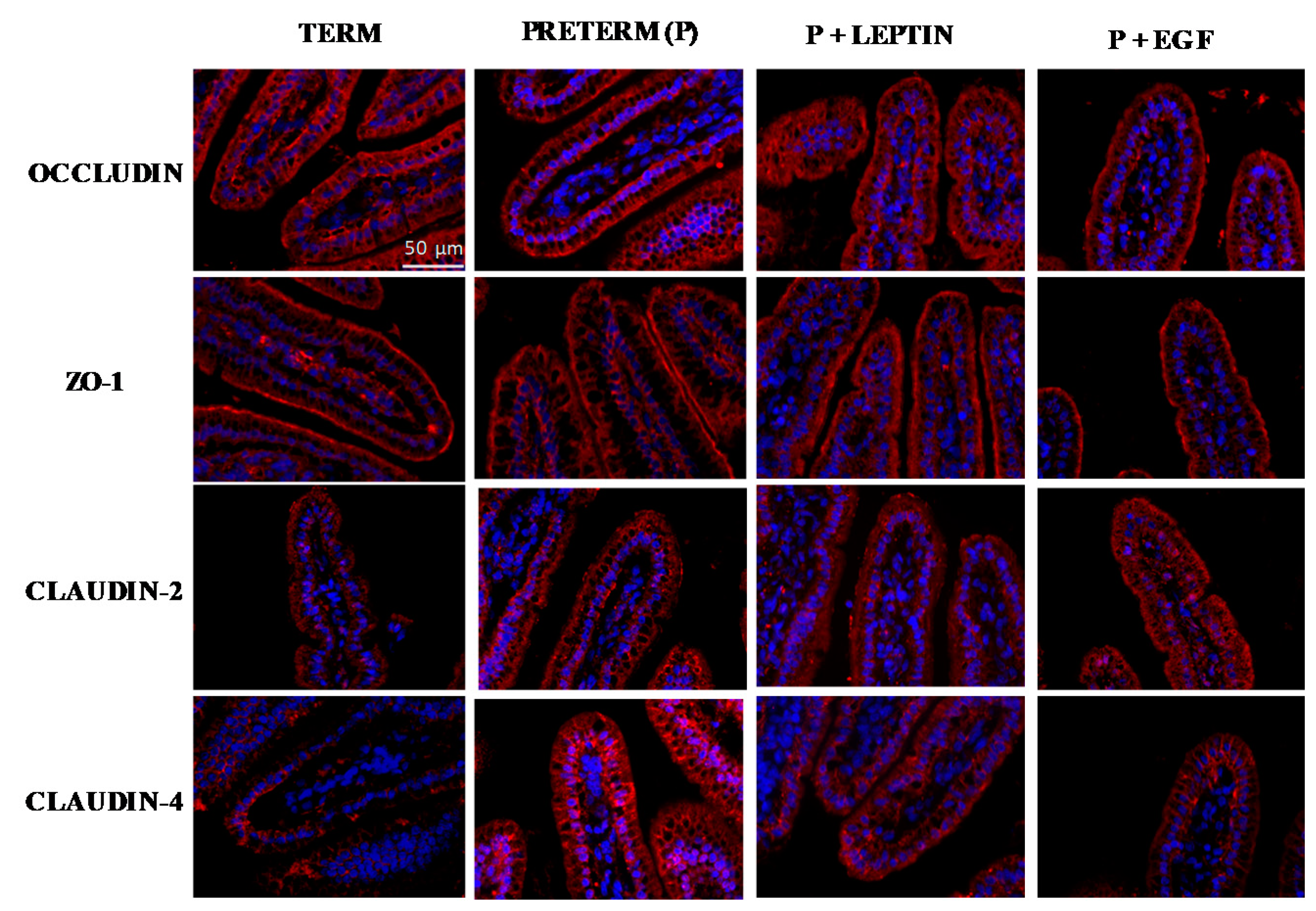 Nutrients 11 02380 g010