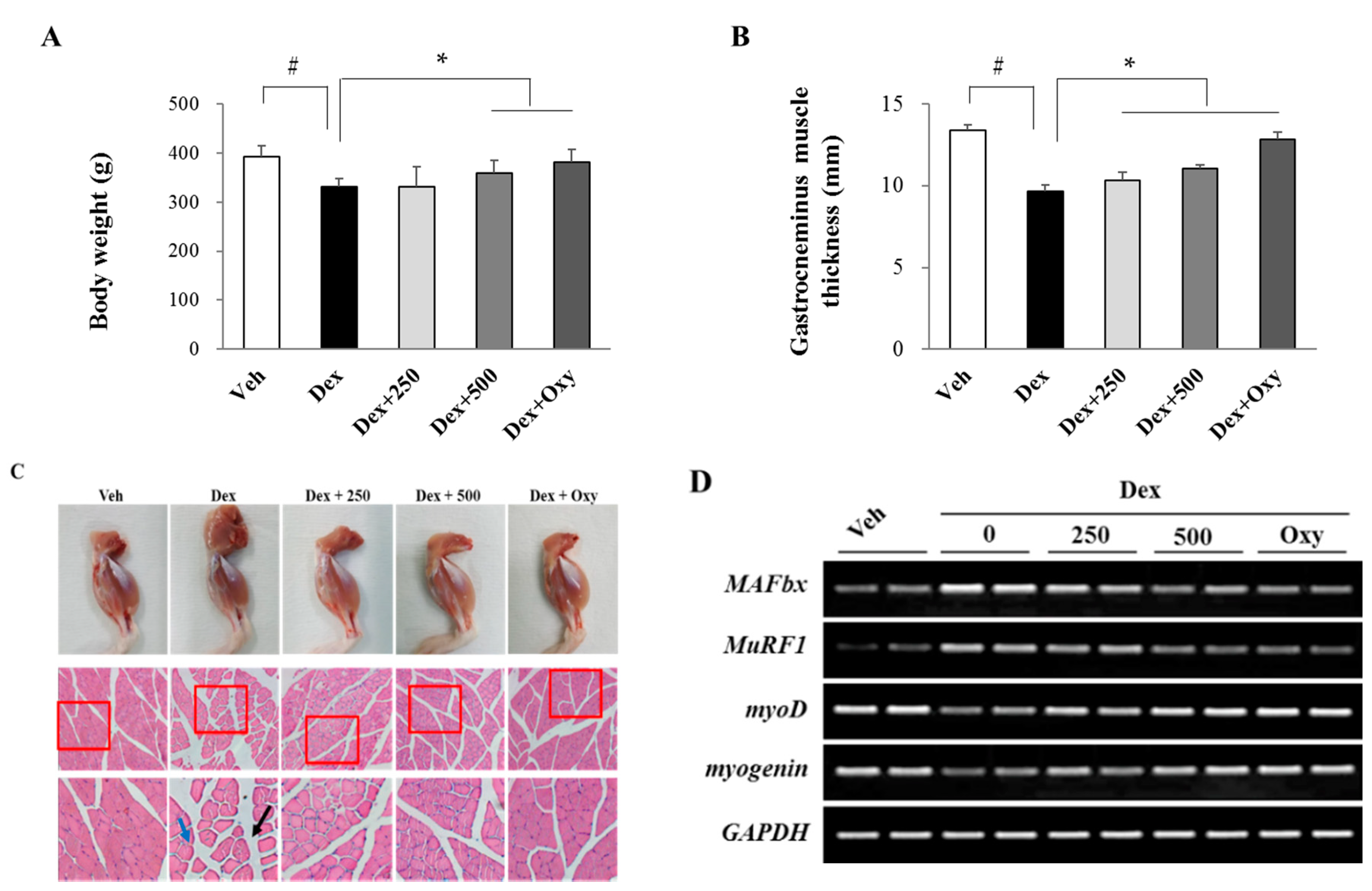 Nutrients 11 02419 g001