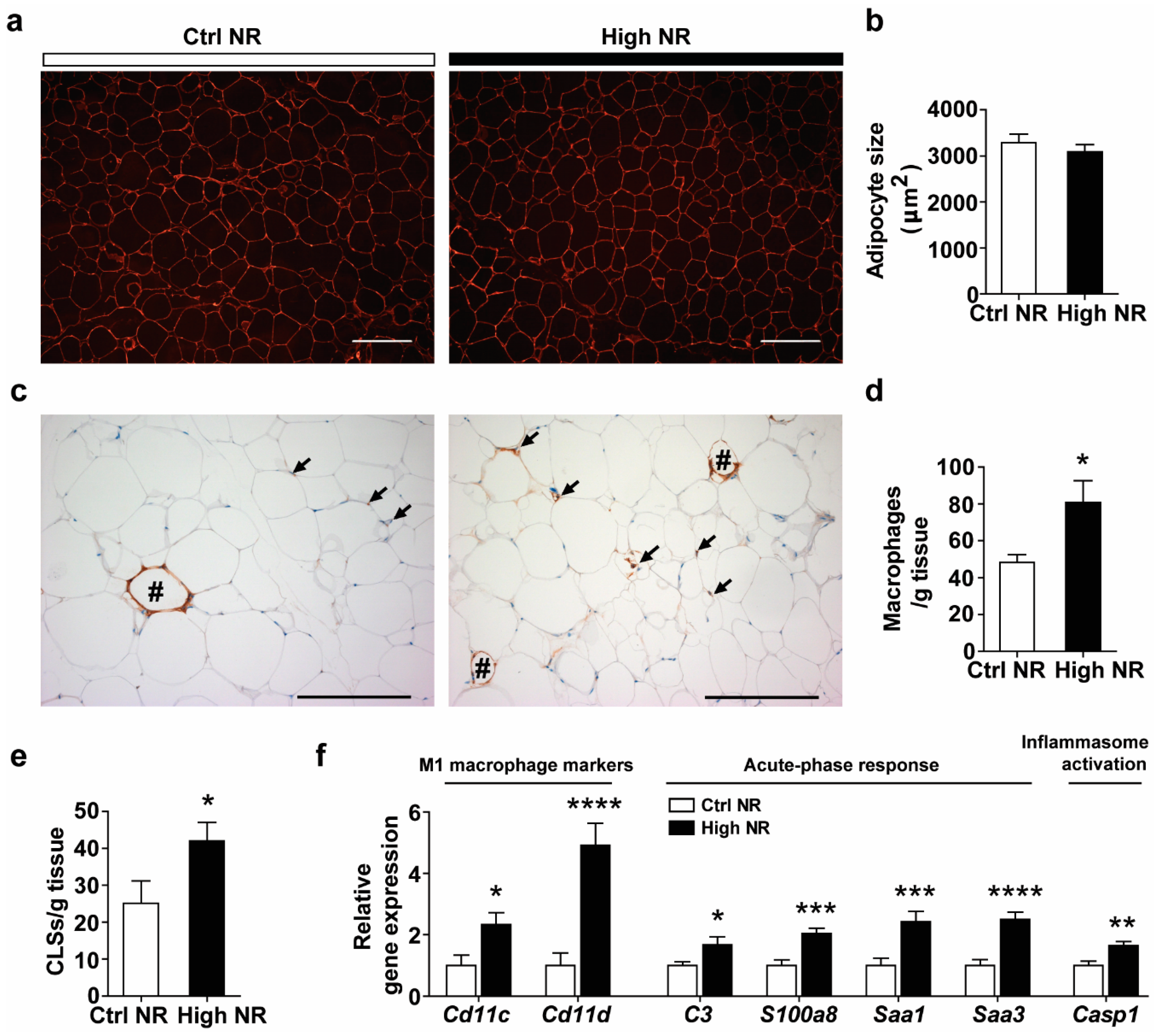 Nutrients 11 02439 g005 Nutrients 11 02439 g005