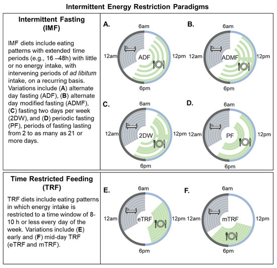Fasting vs. Dieting: Which is More Effective in Lowering Cholesterol? - Exploring Dieting