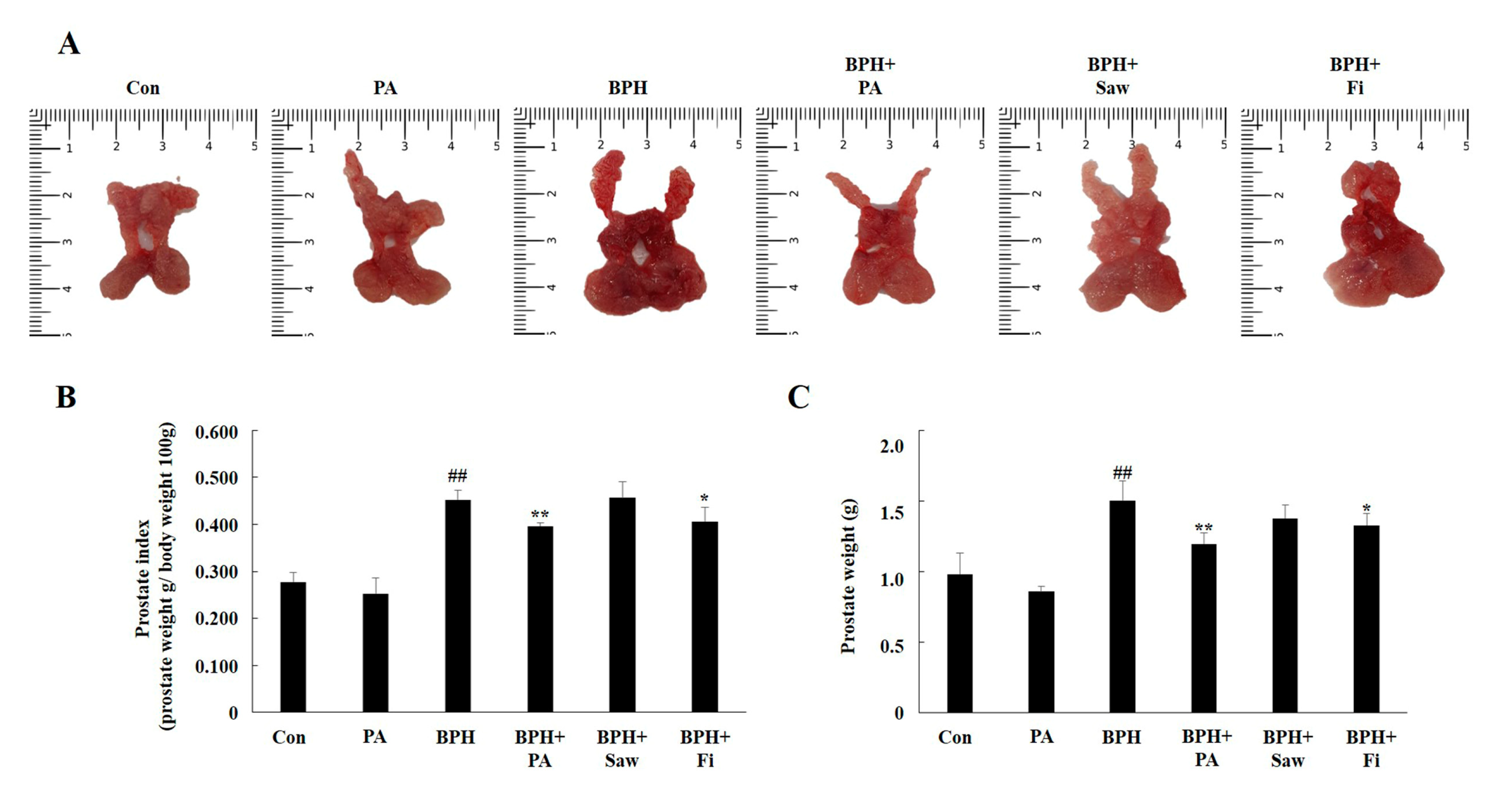 Nutrients 11 02444 g003 Nutrients 11 02444 g003