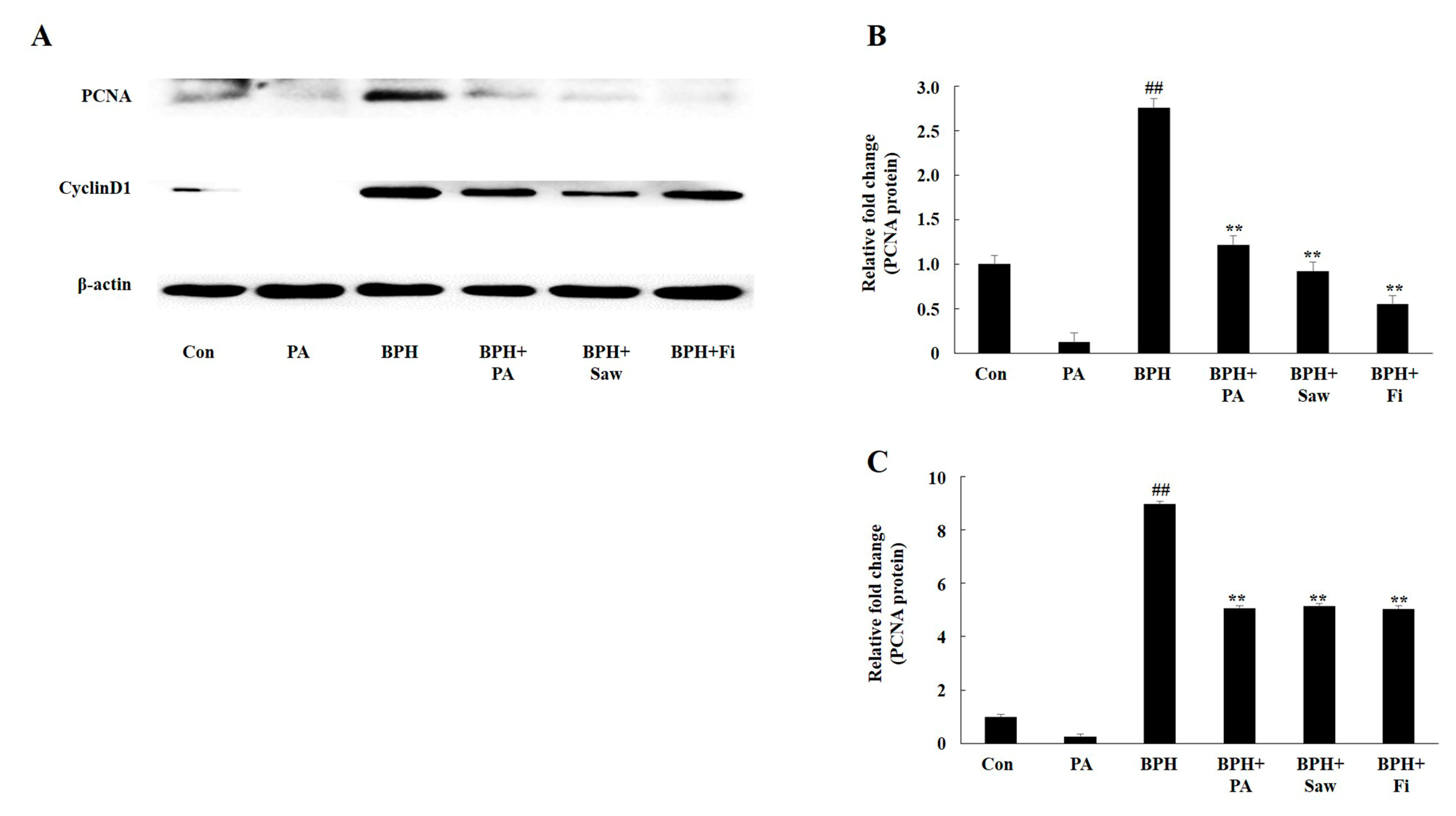 Nutrients 11 02444 g006 Nutrients 11 02444 g006
