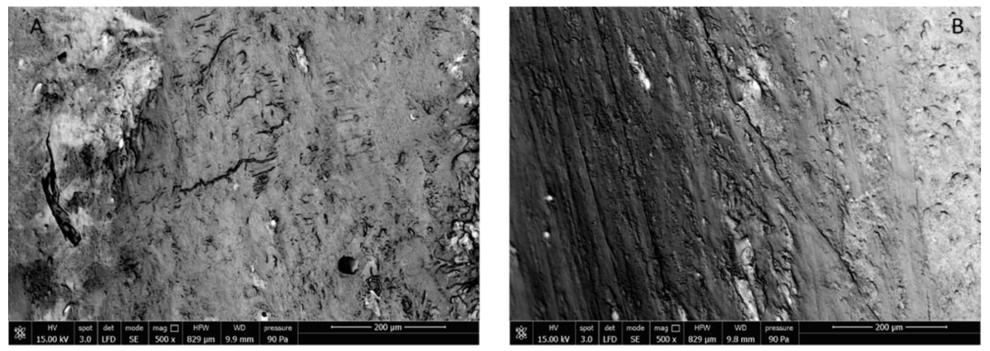 Nutrients 11 02467 g006