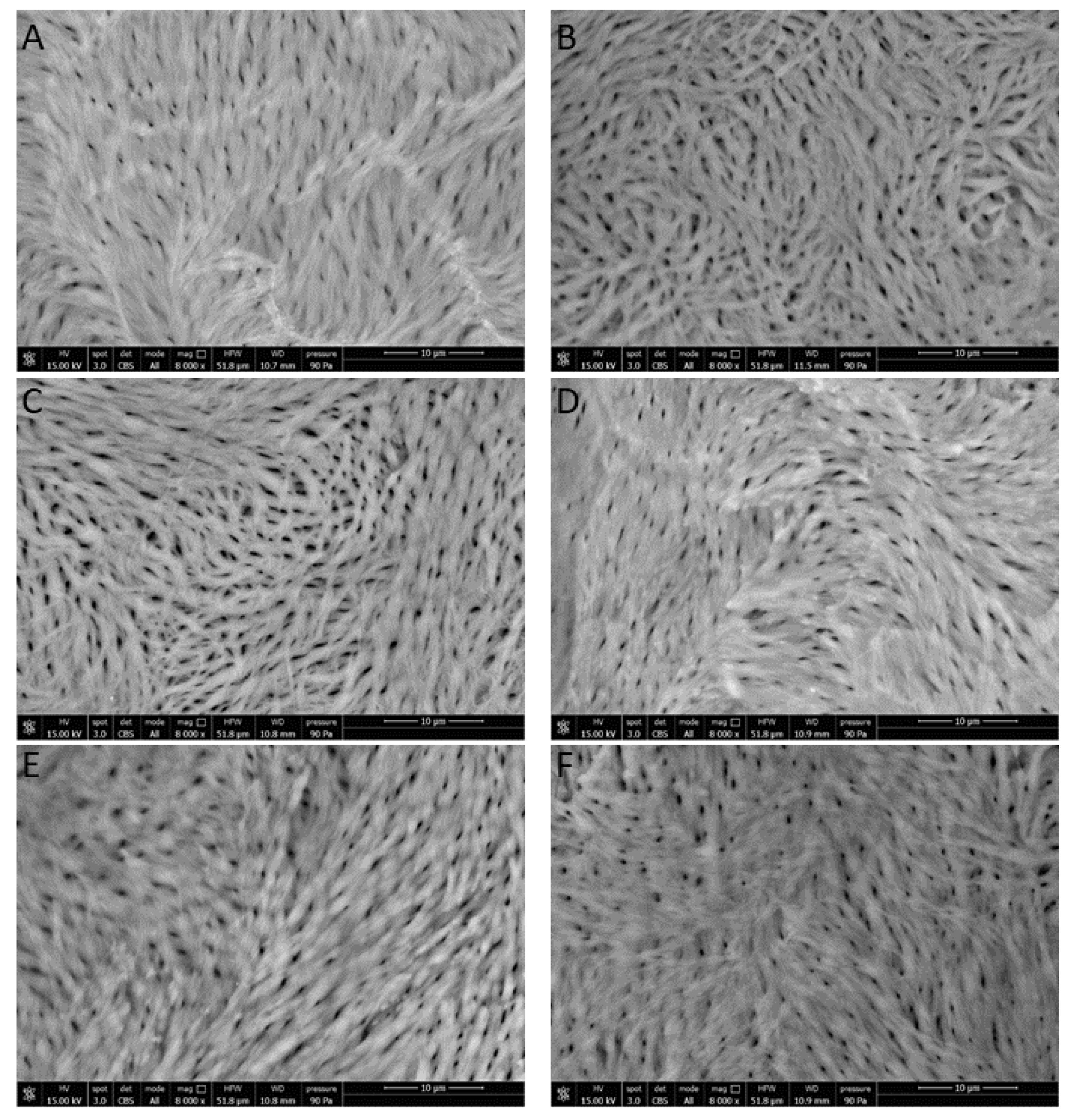 Nutrients 11 02467 g007