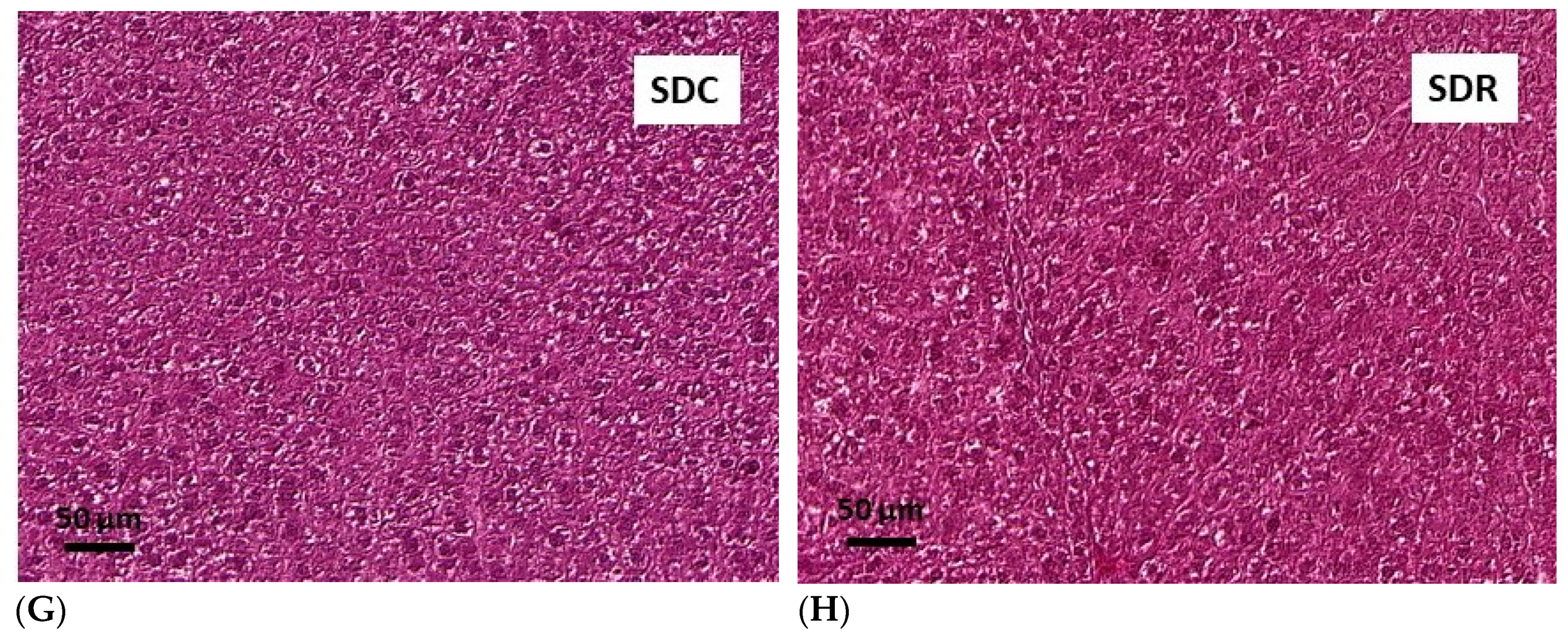 Nutrients 11 02488 g005b Nutrients 11 02488 g005b