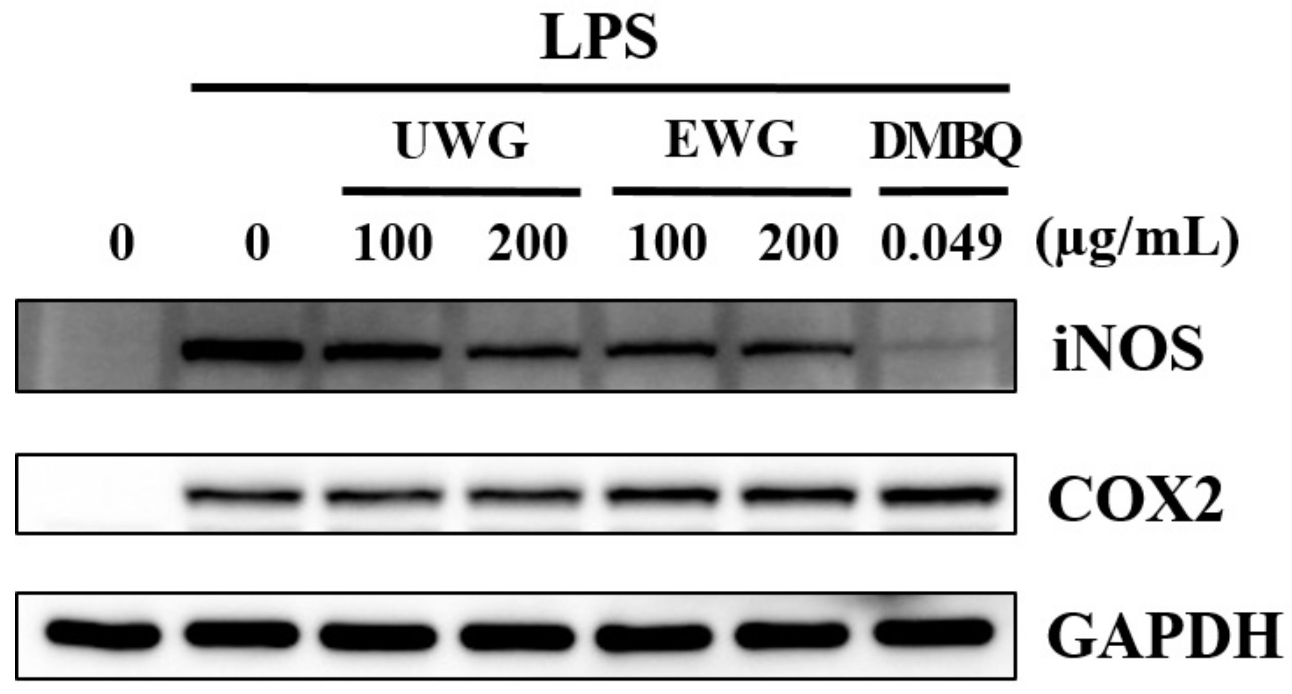 Nutrients 11 02490 g002