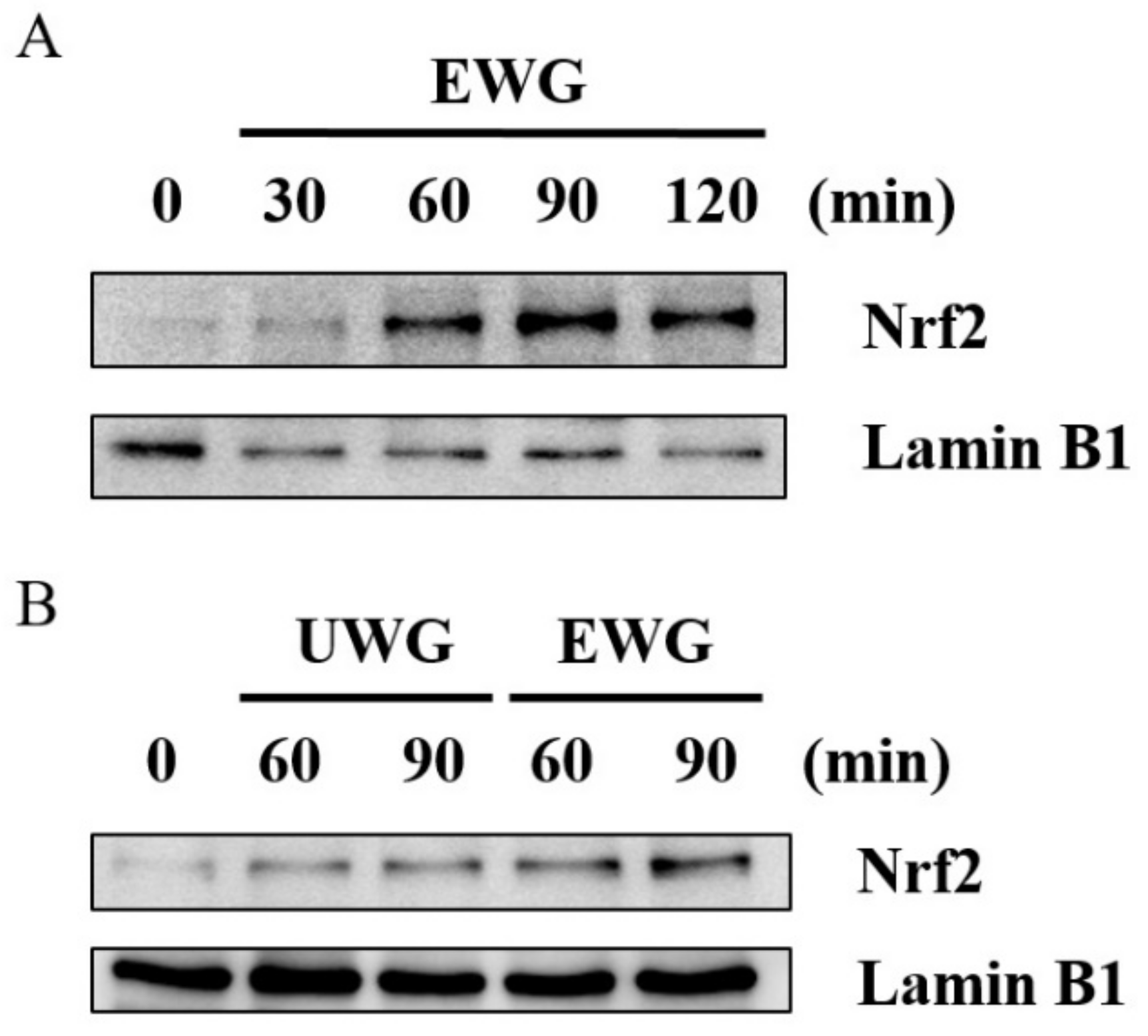 Nutrients 11 02490 g006