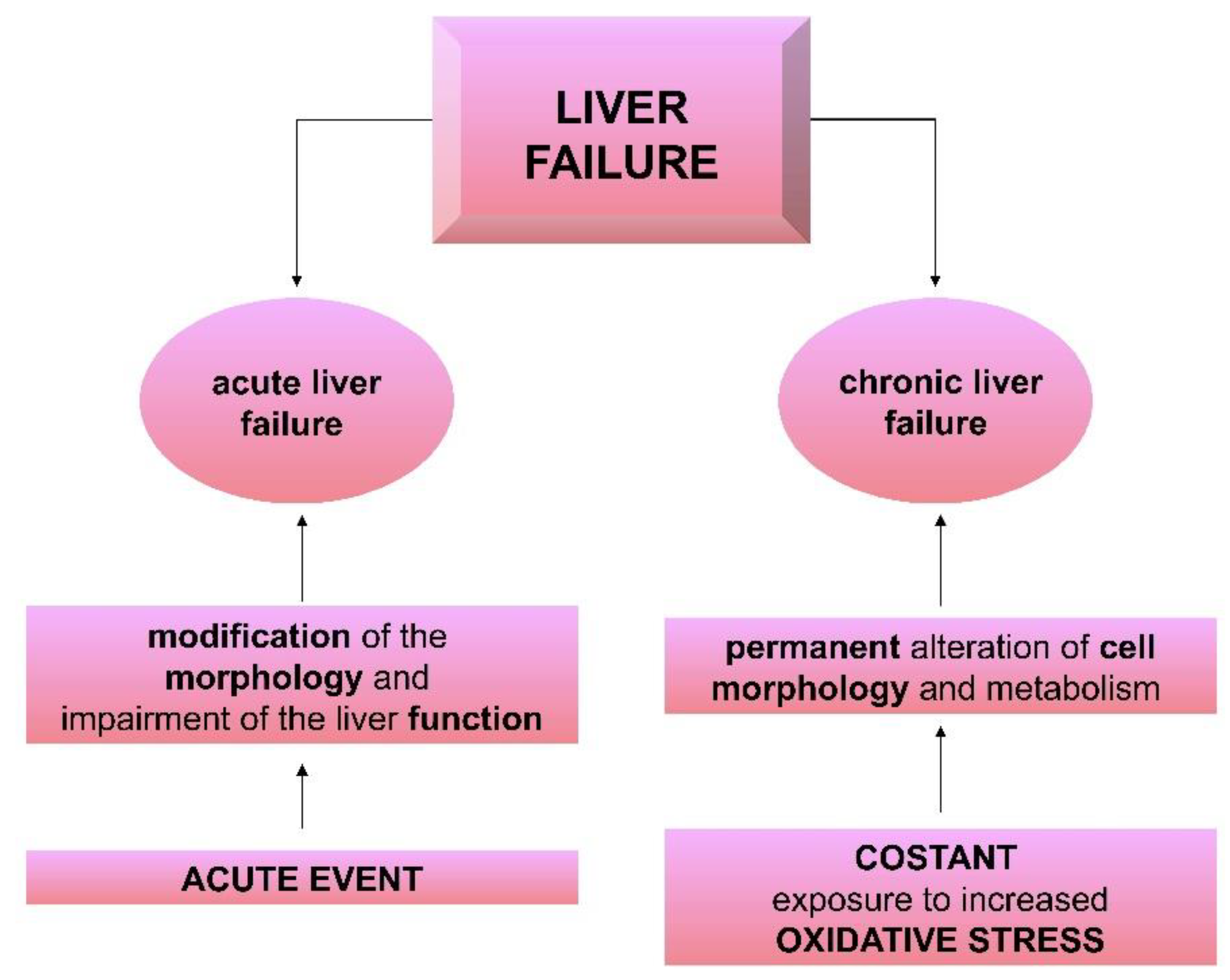 Nutrients 11 02498 g002 Nutrients 11 02498 g002
