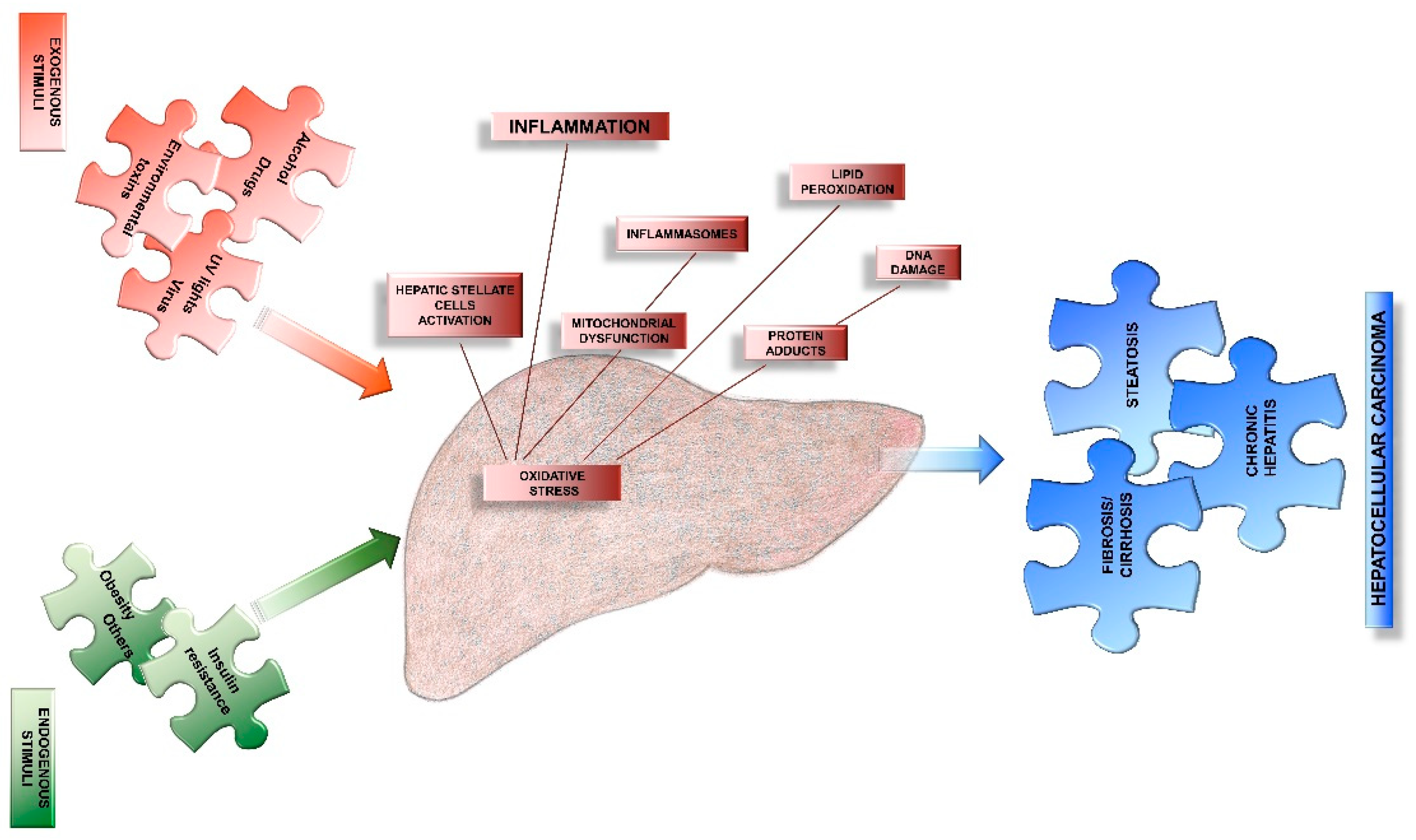 Nutrients 11 02498 g003 Nutrients 11 02498 g003