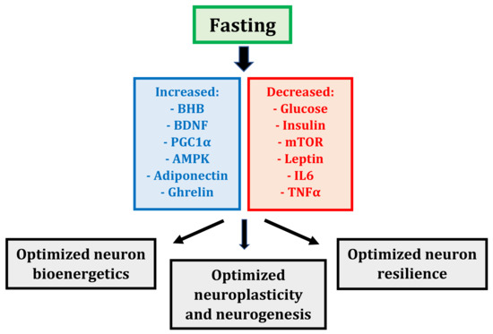 Fasting, COVID, and Vaccines: Everything you Need to Know - Zero Longevity