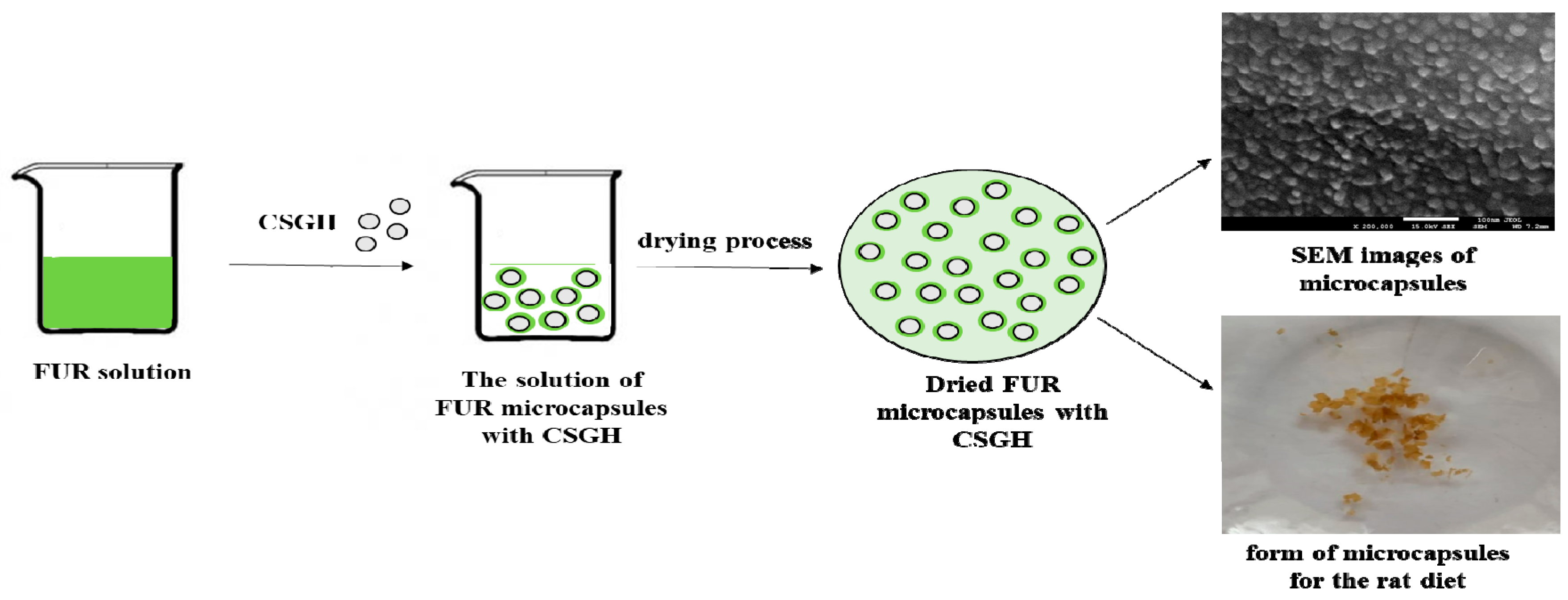 Nutrients 11 02502 g001 Nutrients 11 02502 g001