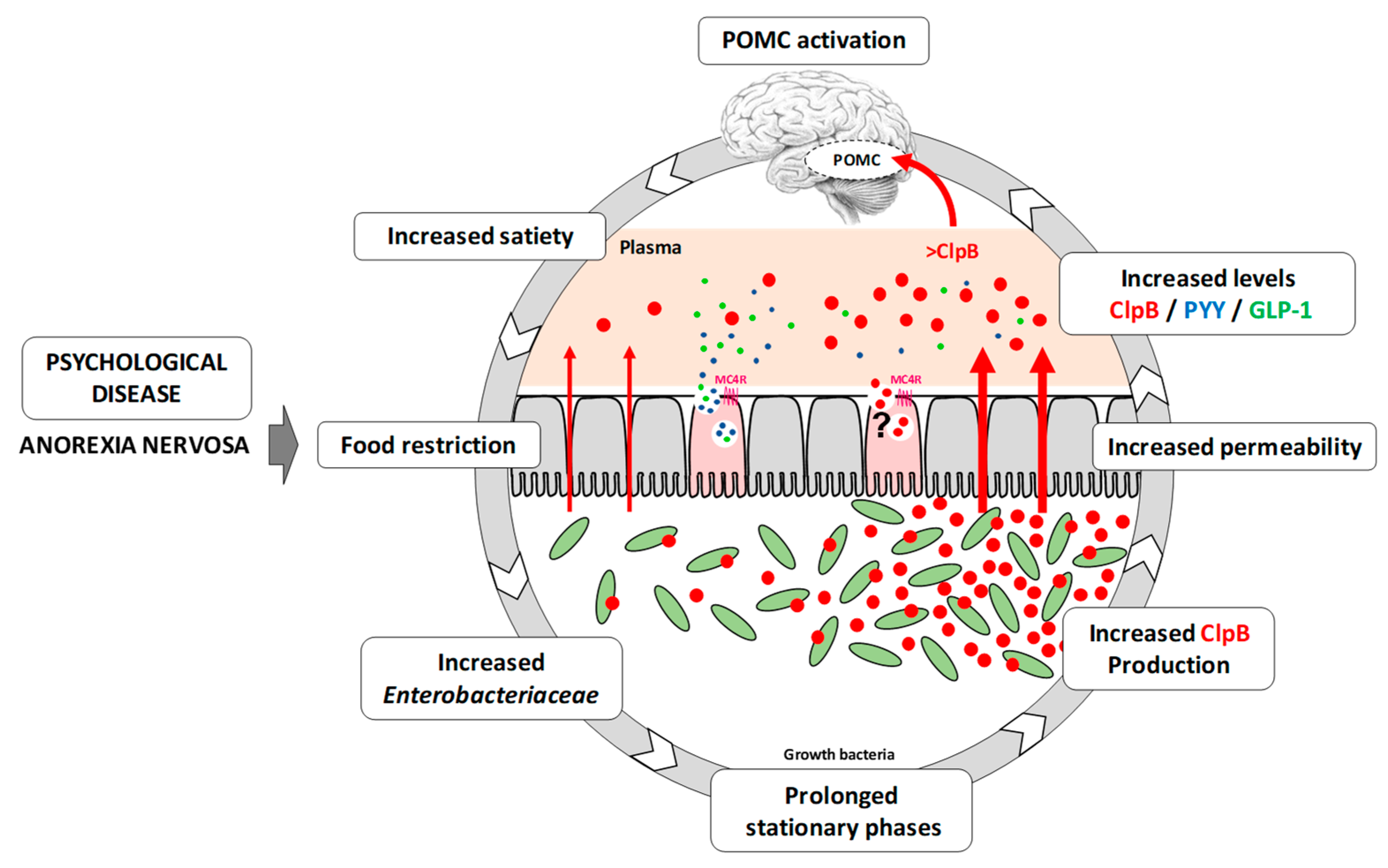 Nutrients 11 02514 g005 Nutrients 11 02514 g005