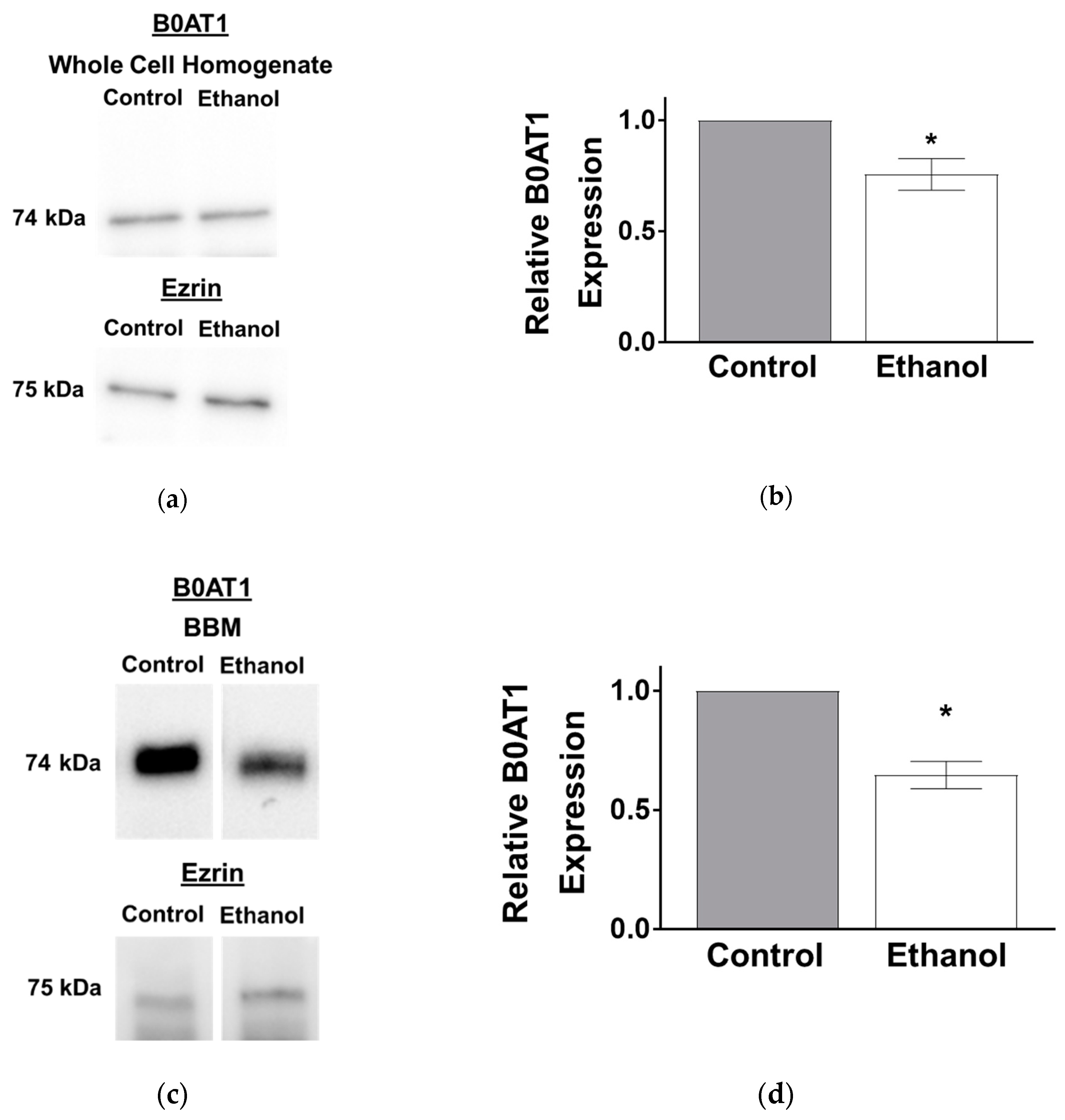Nutrients 11 02516 g004