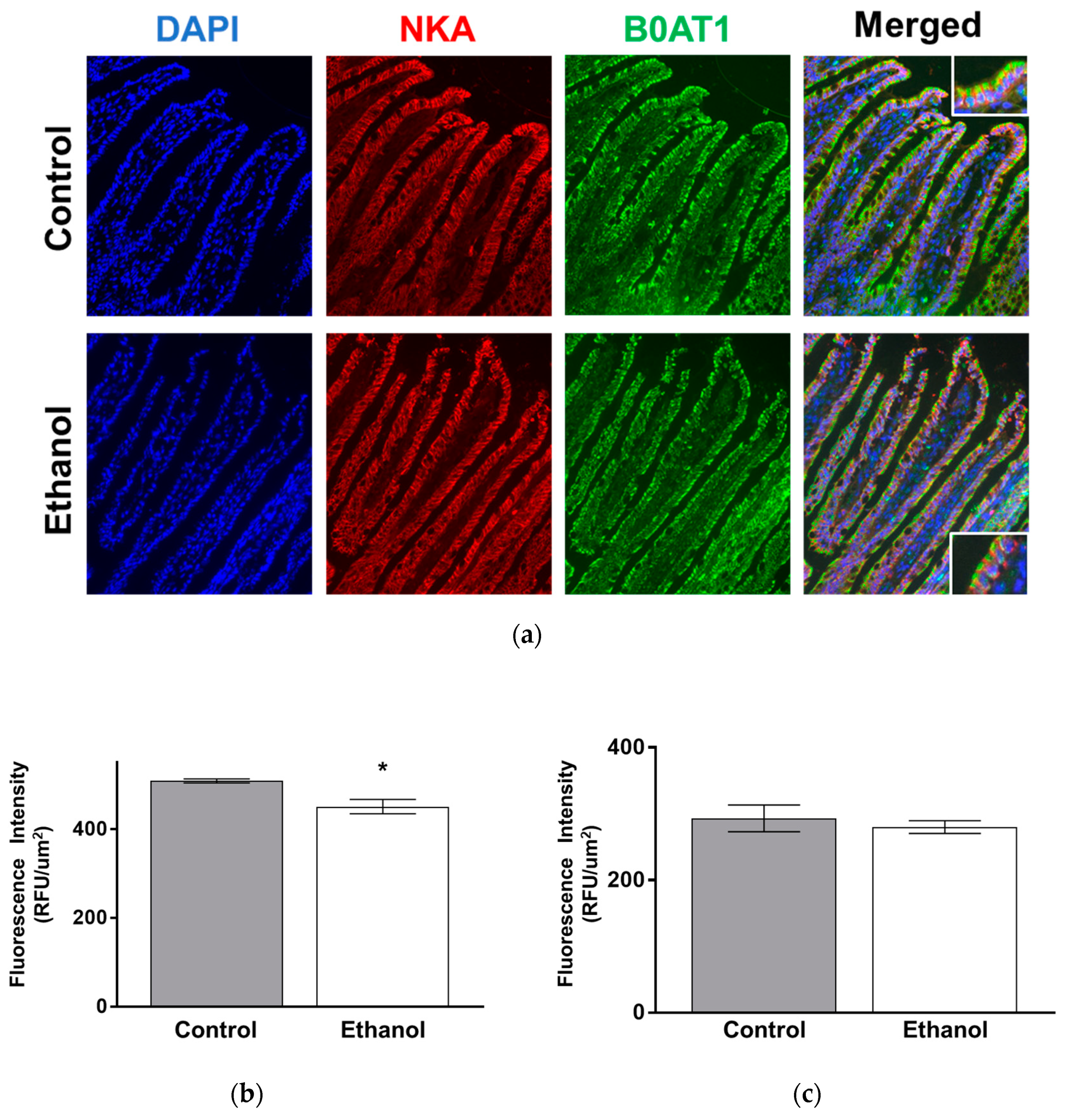 Nutrients 11 02516 g005