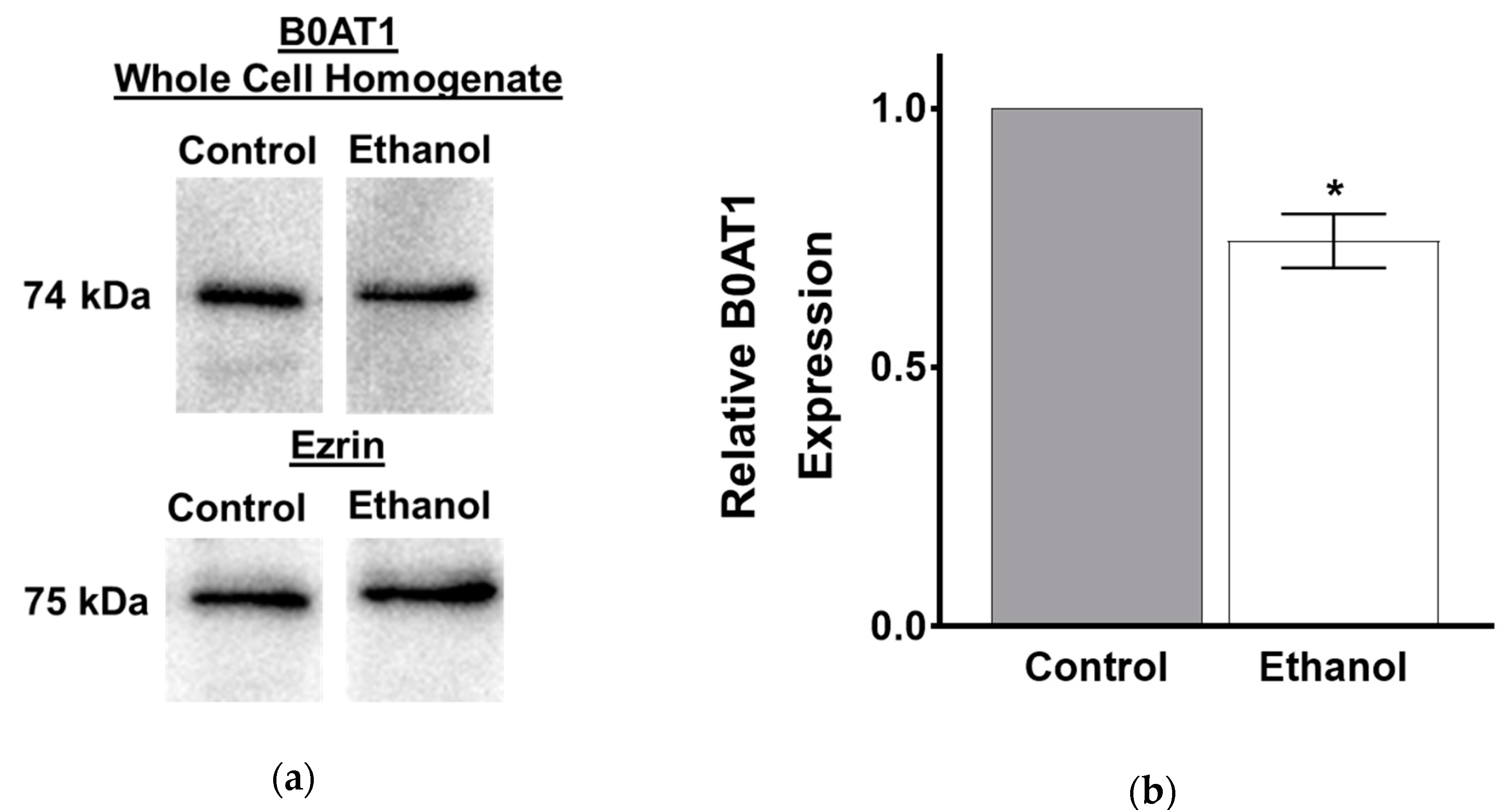 Nutrients 11 02516 g008a