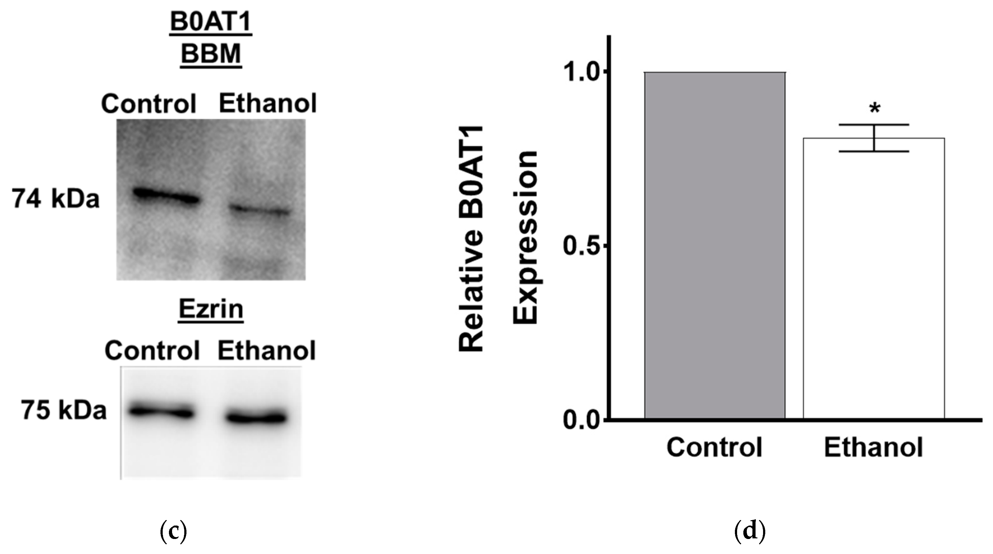 Nutrients 11 02516 g008b