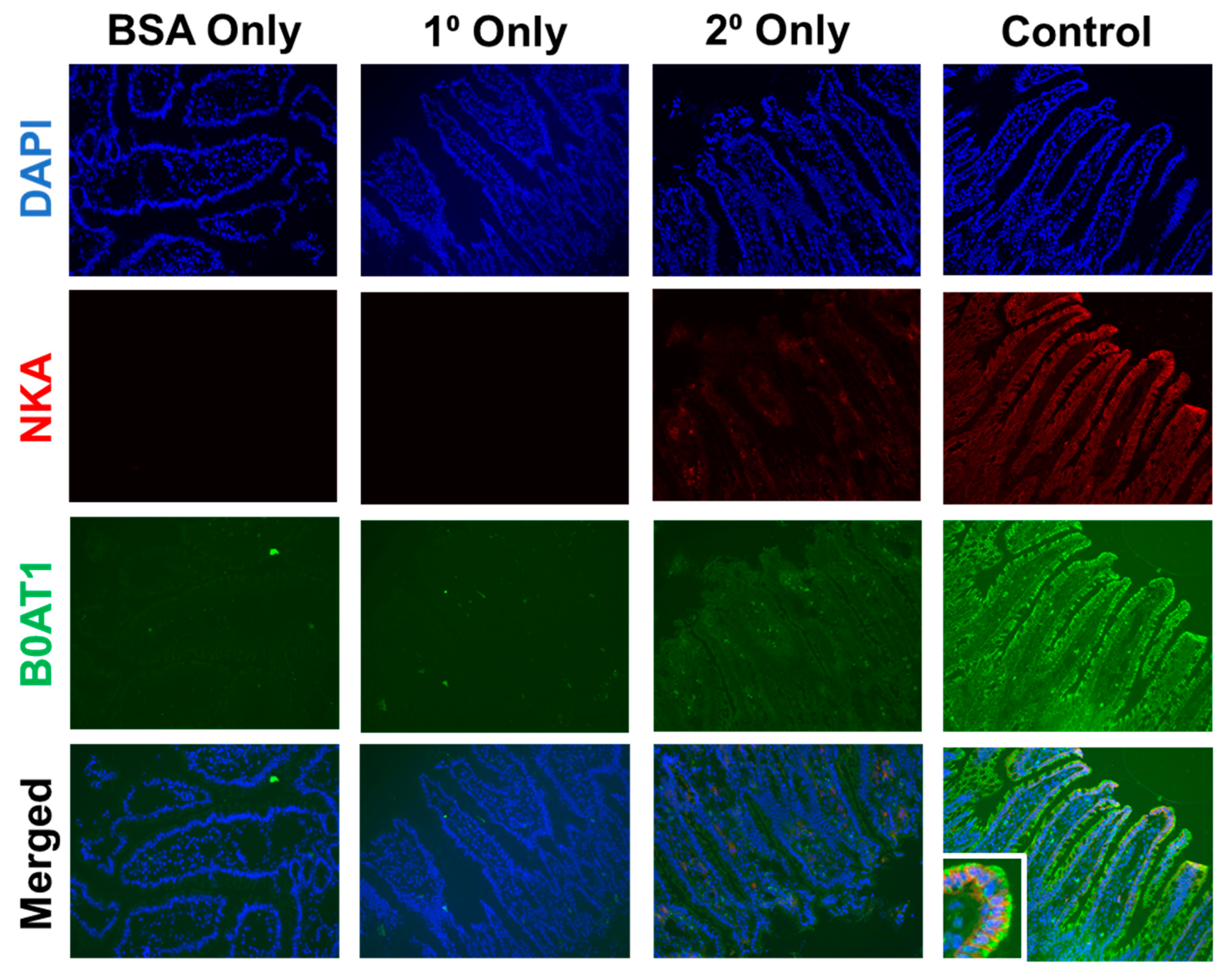 Nutrients 11 02516 g0a2