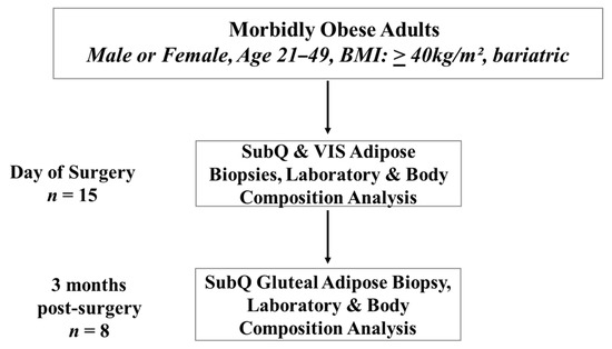 Patient Characteristics at the Day Before Surgery and Biopsy Obtainment.