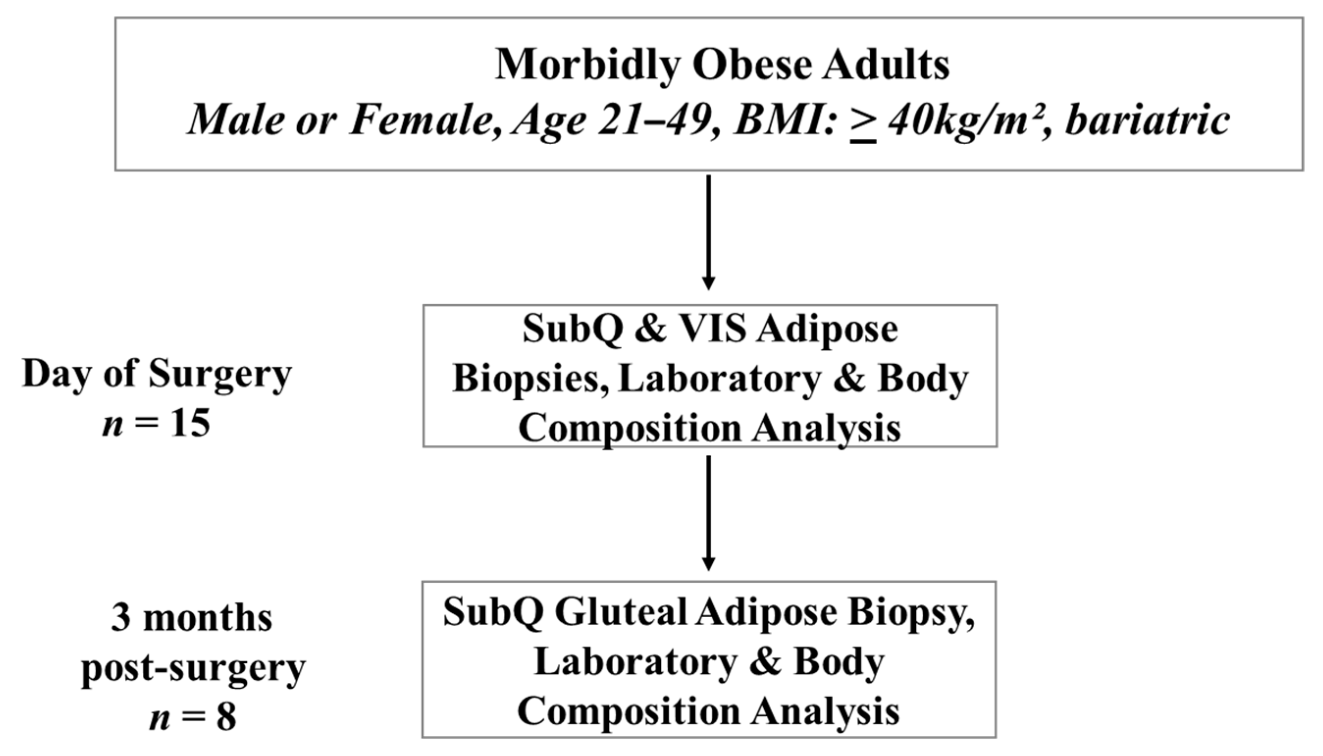 Bariatric Vitamin Comparison Chart