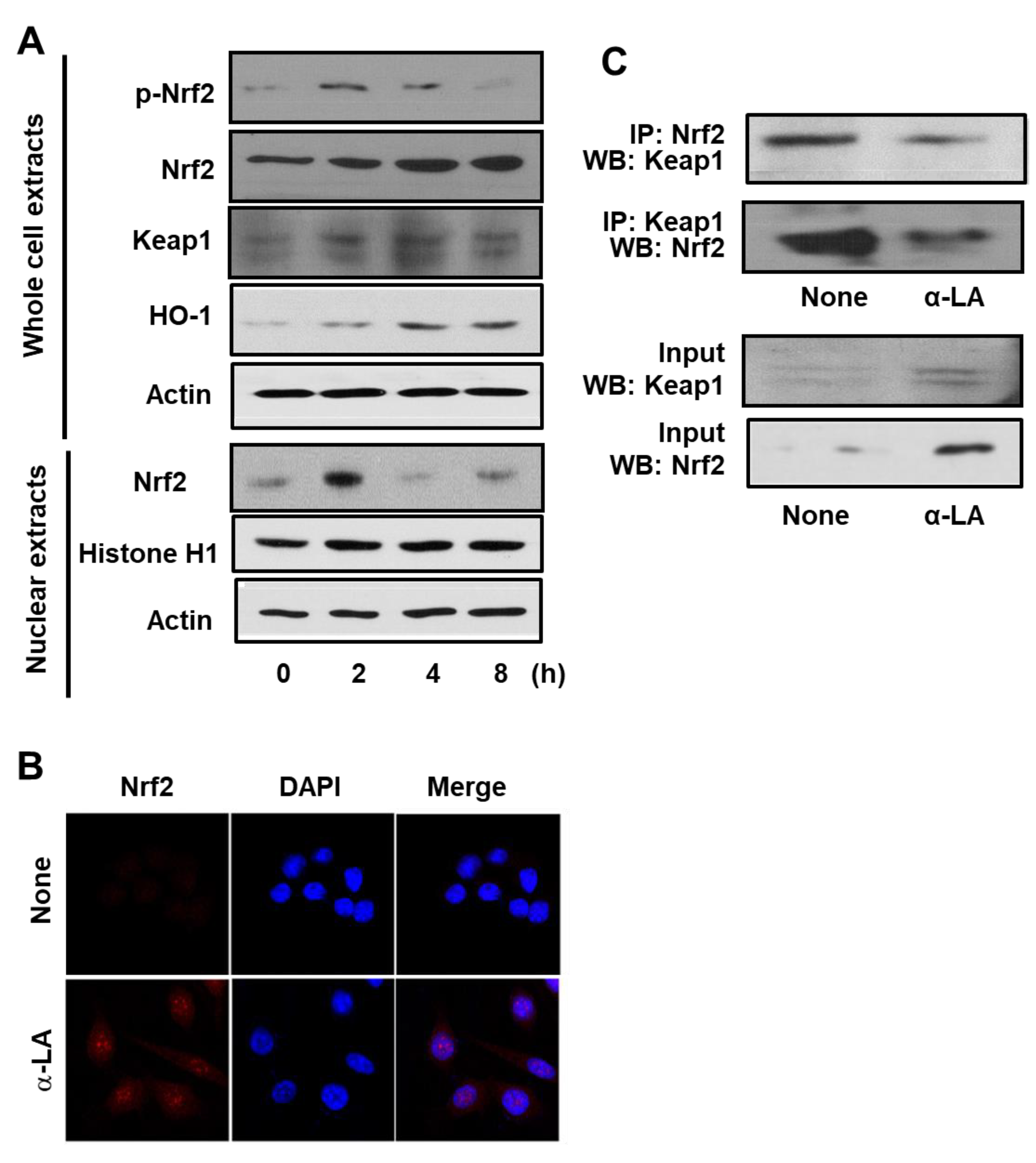 Nutrients 11 02524 g001