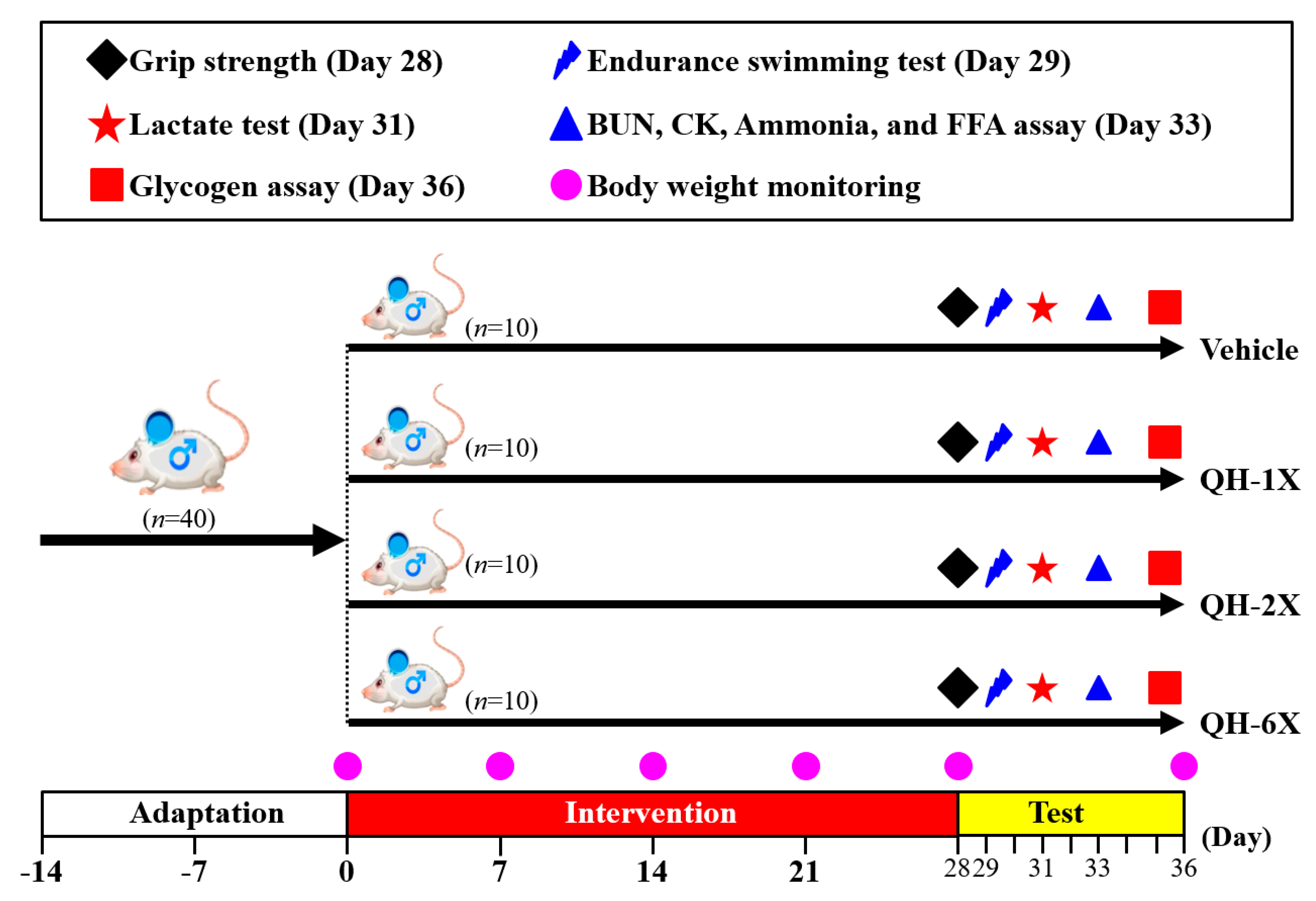 Nutrients 11 02550 g001